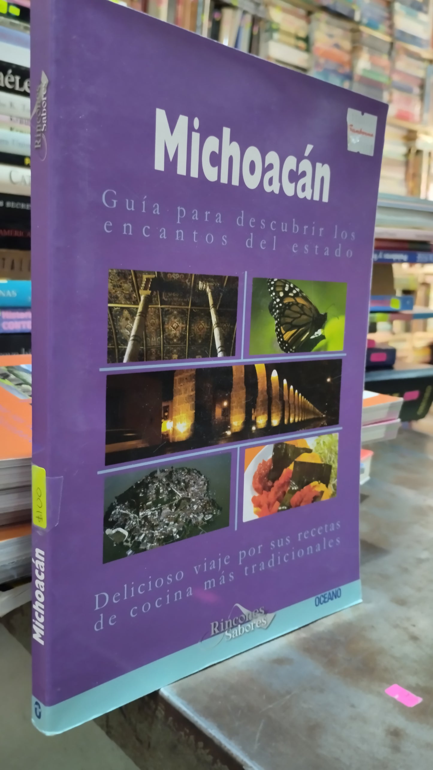 MICHOACAN LIBRO USADO GEOGRAFIA ALDAMA