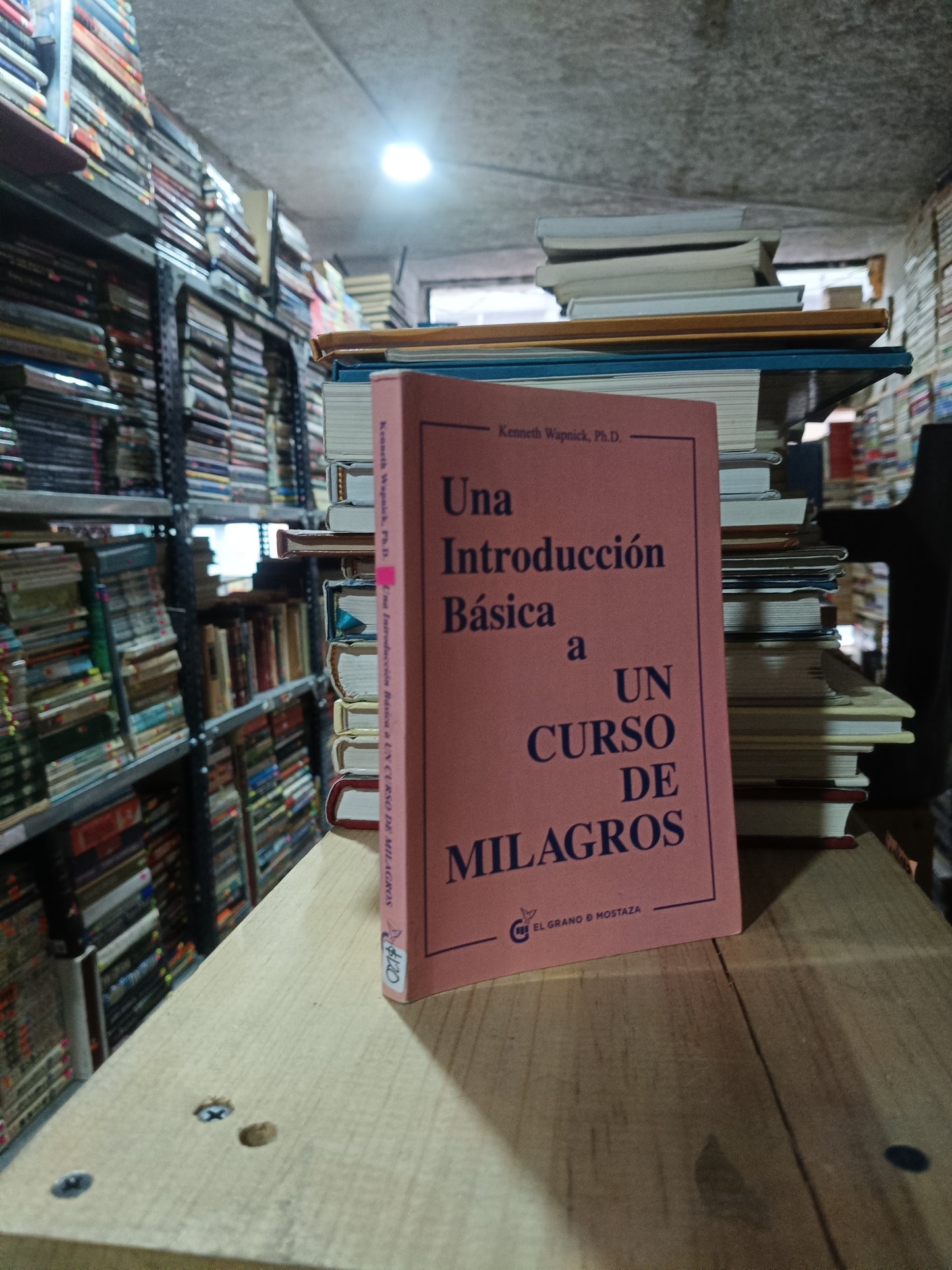 UNA INTRODUCCIÓN BÁSICA A UN CURSO DE MILAGROS POR KENNETH WAPNICK USADO SUPERACIÓN PERSONAL ALDAMA
