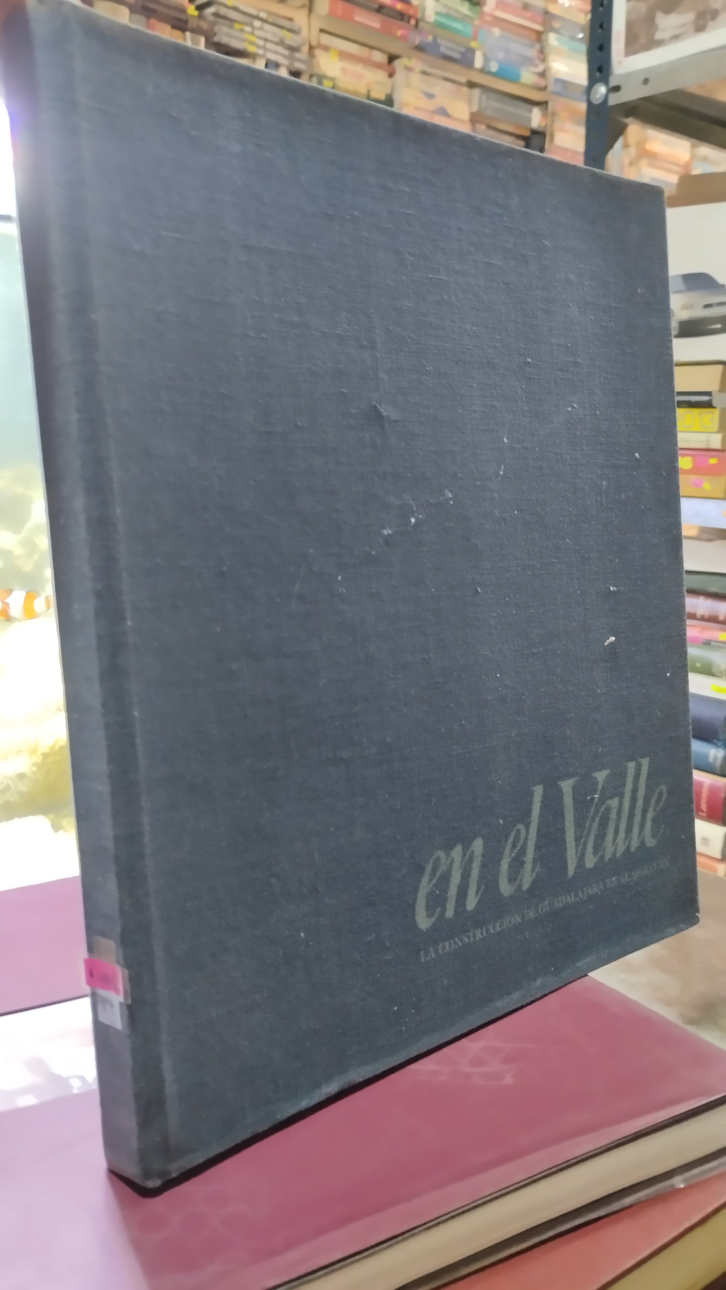 EN EL VALLE LA CONSTRUCCION DE GUADALAJARA EN EL SIGLO XX LIBRO USADO ARTE ALDAMA