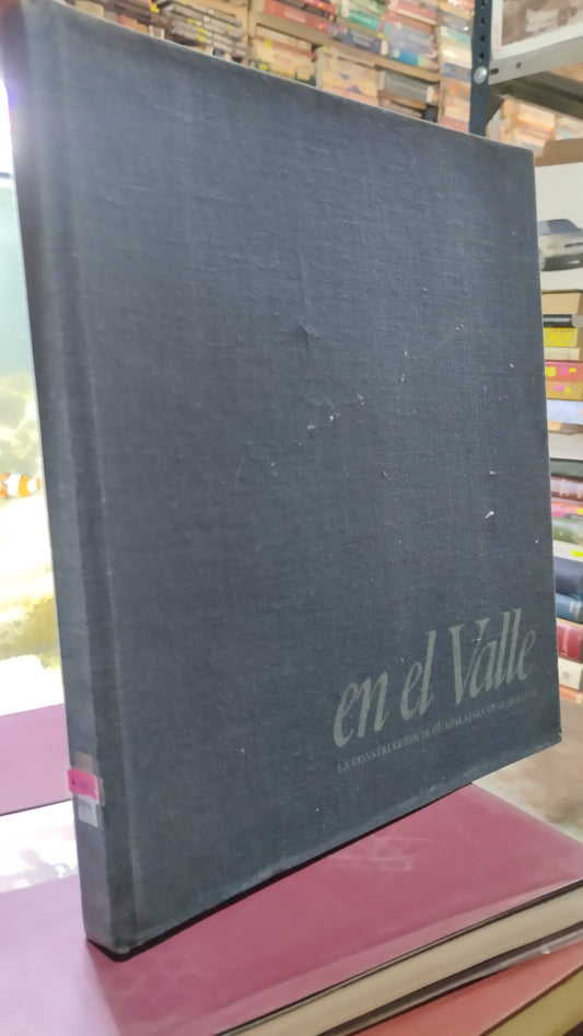 EN EL VALLE LA CONSTRUCCION DE GUADALAJARA EN EL SIGLO XX LIBRO USADO ARTE ALDAMA