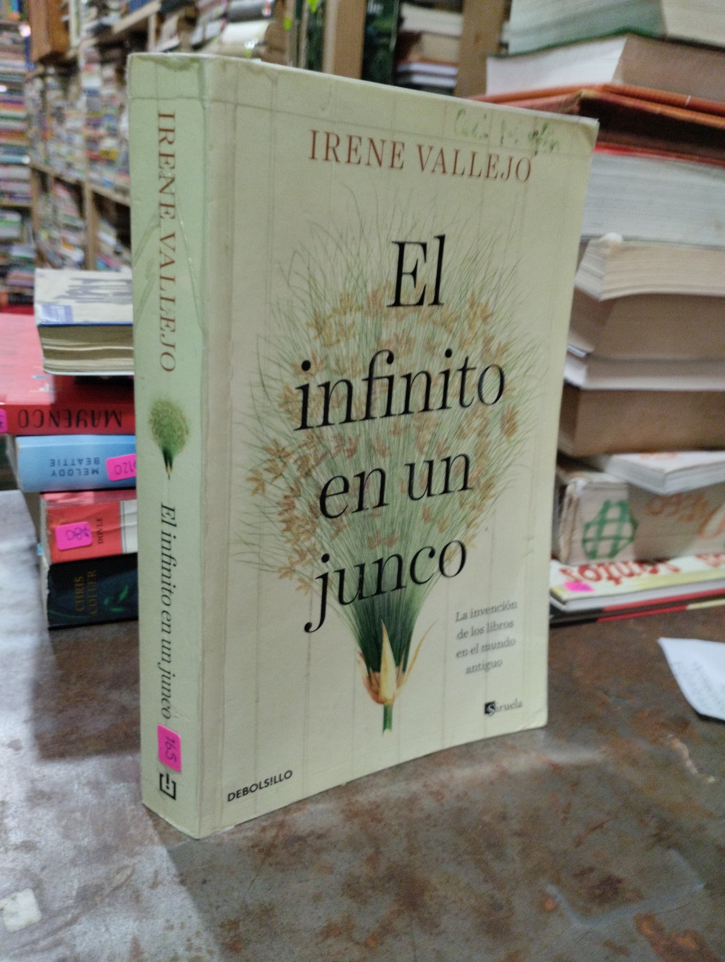 EL INFINITO EN UN JUNCO POR IRENE VALLEJO USADO NOVELAS ALDAMA