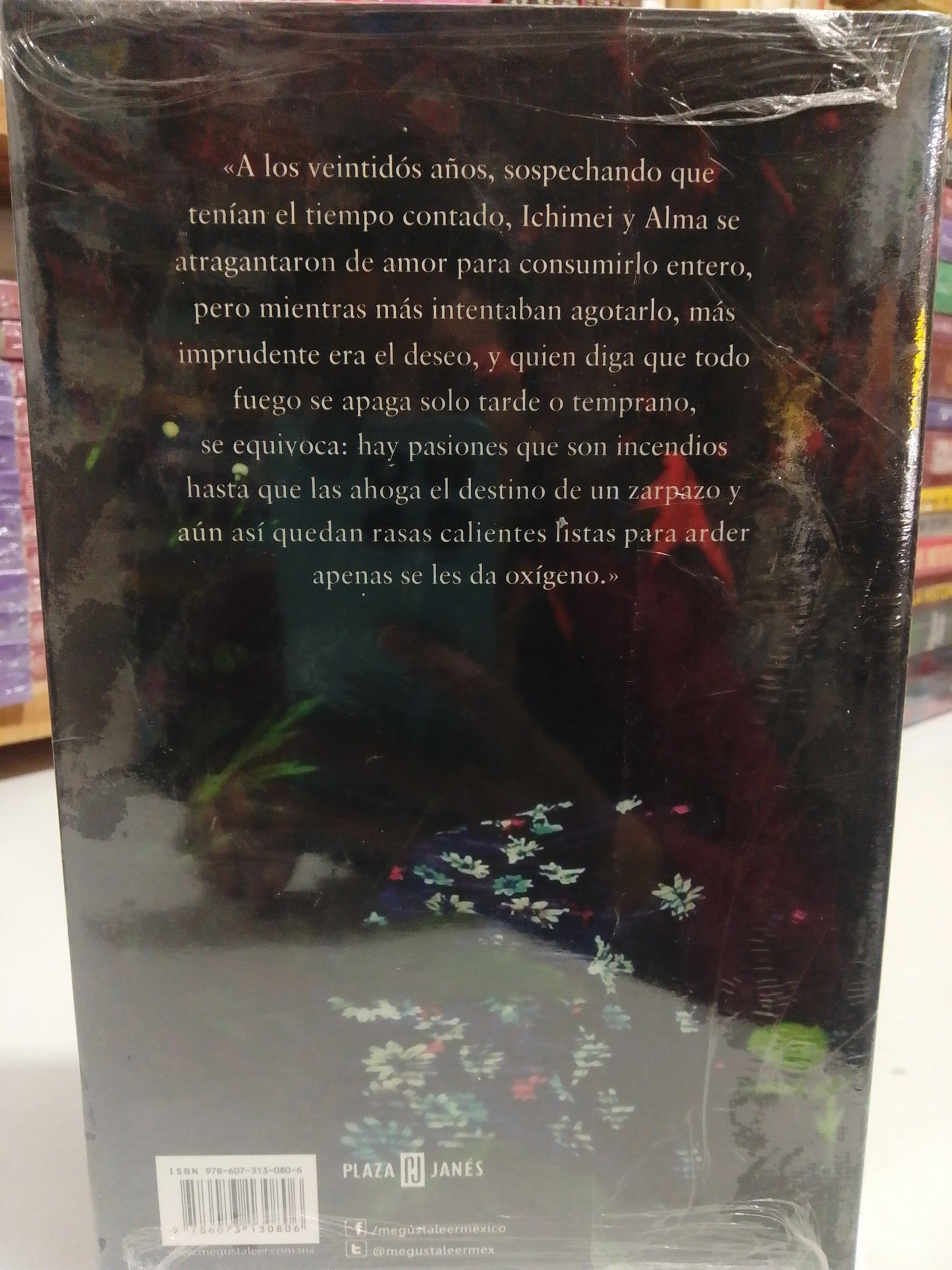 EL AMANTE JAPONES POR ISABEL ALLENDE NUEVO JUAREZ