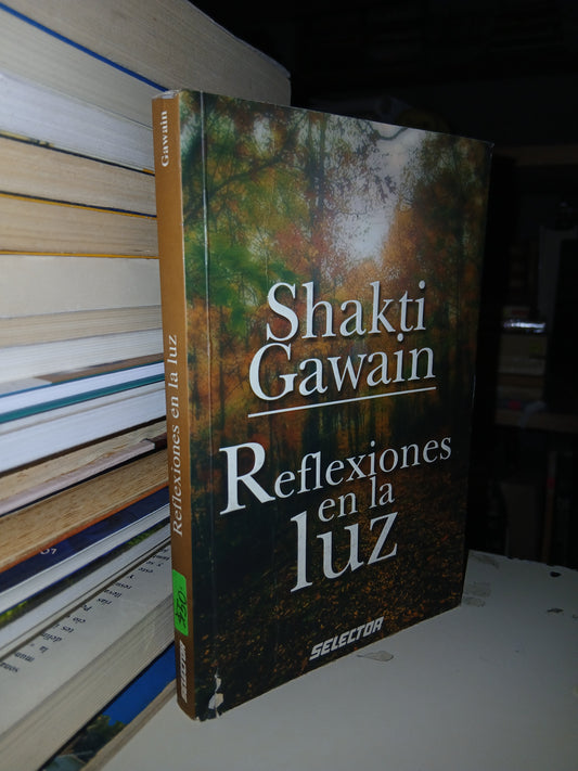 REFLEXIONES EN LA LUZ POR SHAKTI GAWAIN USADO SUPERACIÓN PERSONAL LITERARIO 207