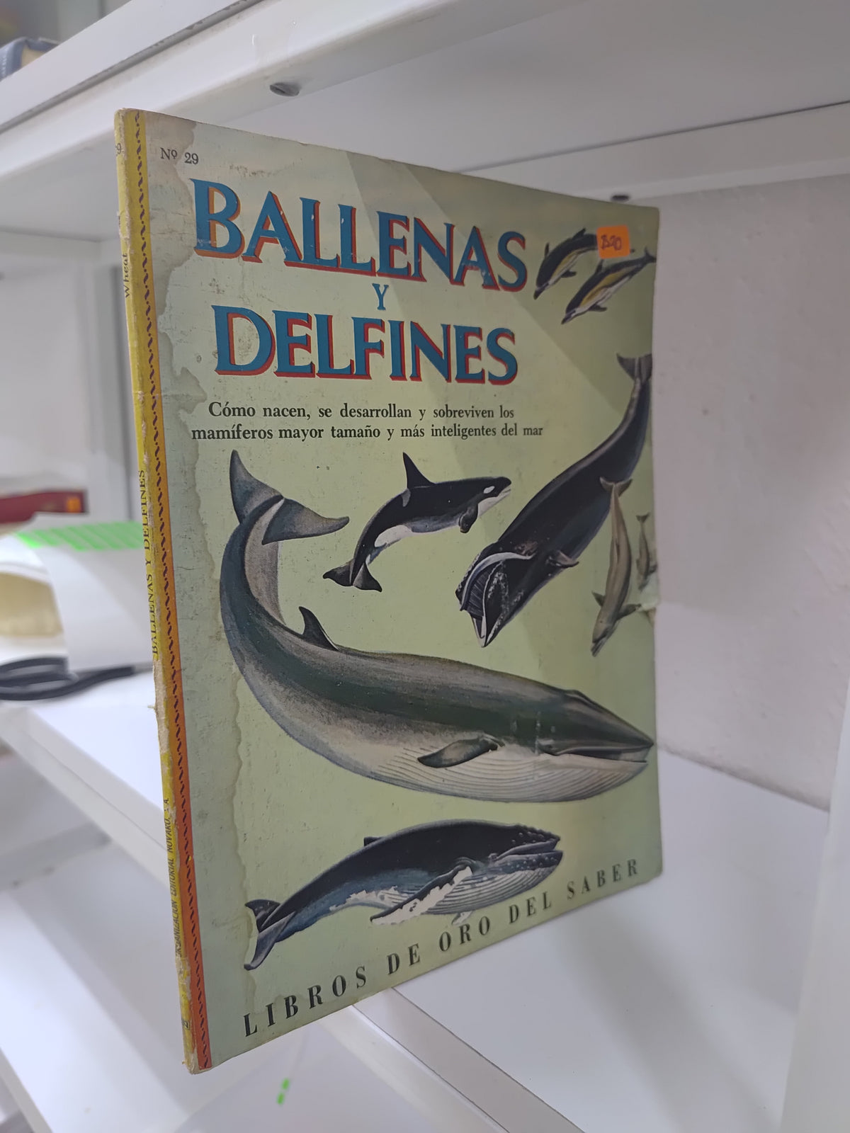 BALLENAS Y DELFINES POR EDITORIAL NOVARO USADO BIOLOGIA JUAREZ 515