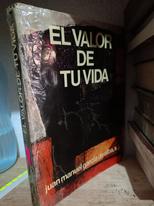 EL VALOR DE TU VIDA POR JUAN MANUEL GARCIA DE ALBA USADO S.PERSONAL LITERARIO 305