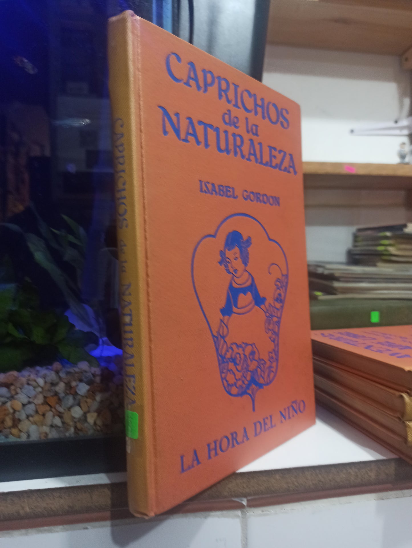 CAPRICHOS DE LA NATURALEZA POR ISABEL GORDON USADO INFANTILES JUÁREZ