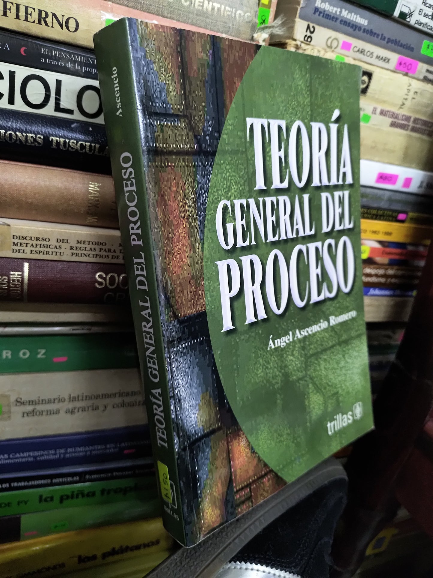 TEORIA GENERAL DEL PROCESO POR ANGEL ASCENCIO ROMERO USADO DERECHO LITERARIO 207