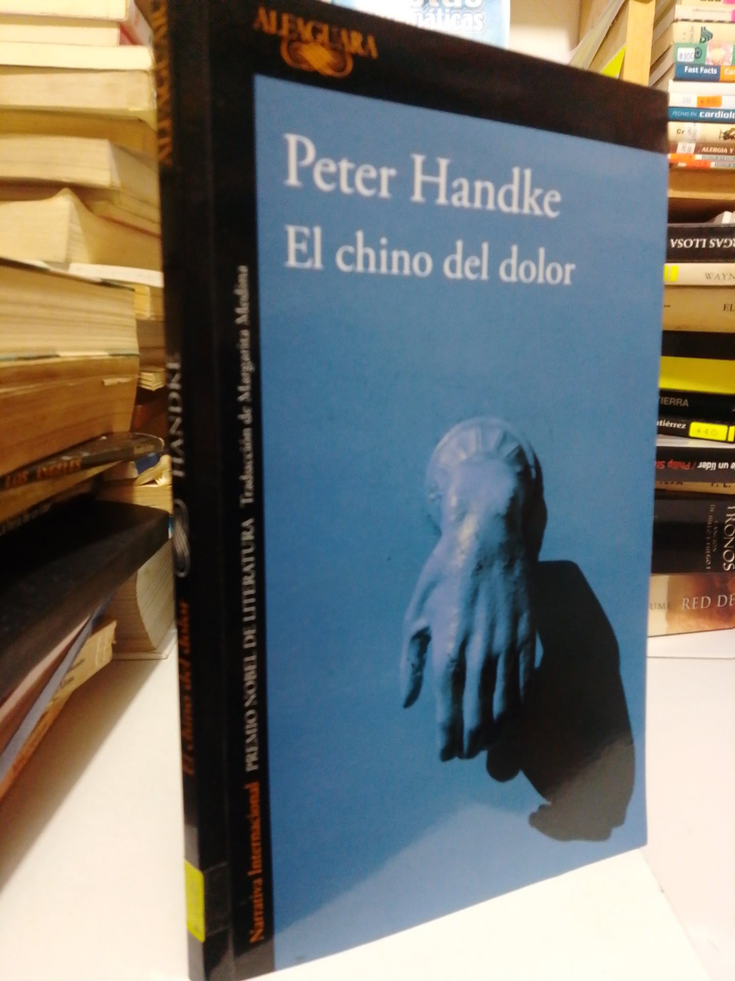 EL CHINO DEL DOLOR POR PETER HANDKE USADO NOVELA JUÁREZ