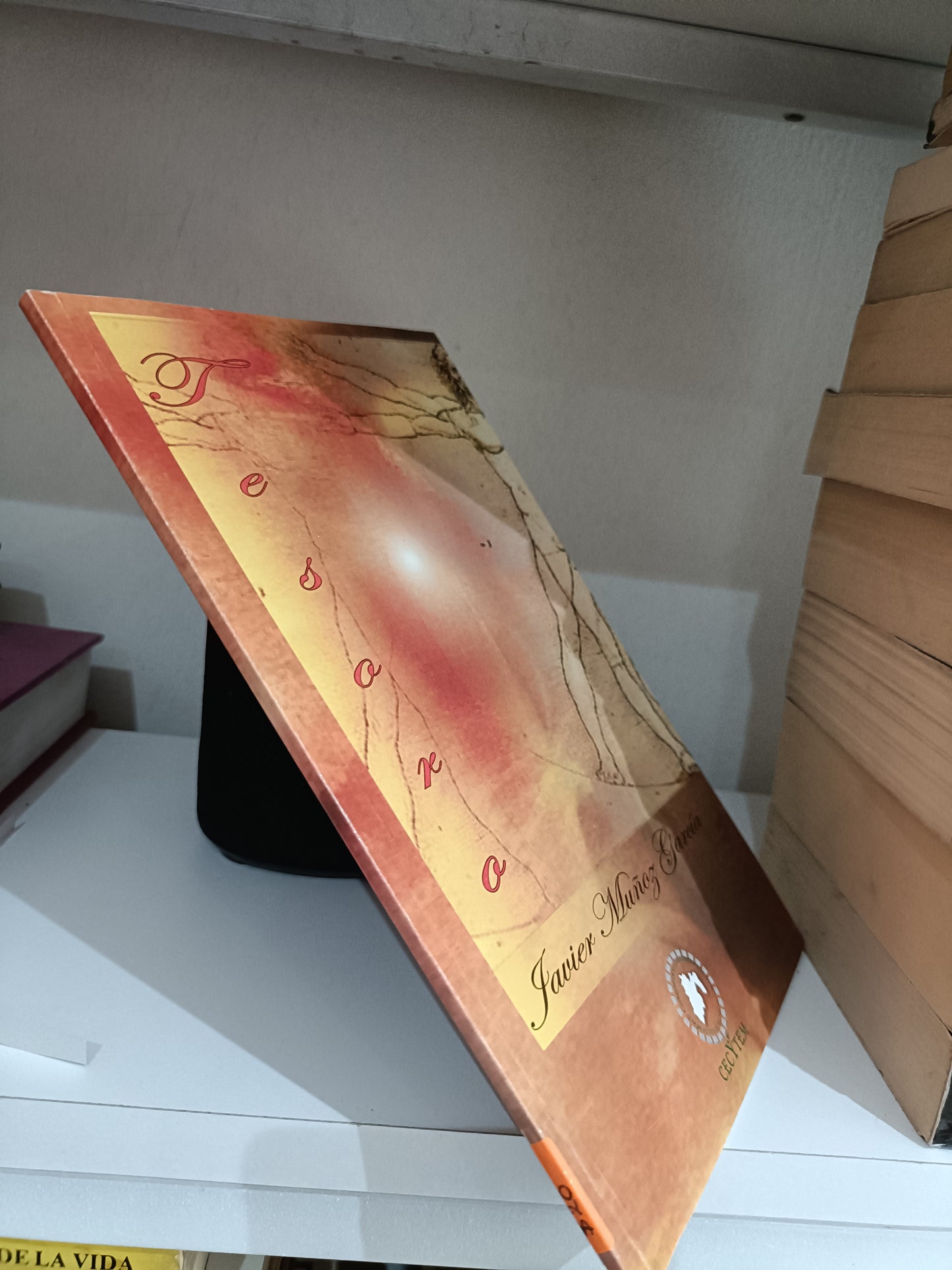 TESORO POR JAVIER MUÑOZ GARCIA USADO NOVELA JUAREZ 515