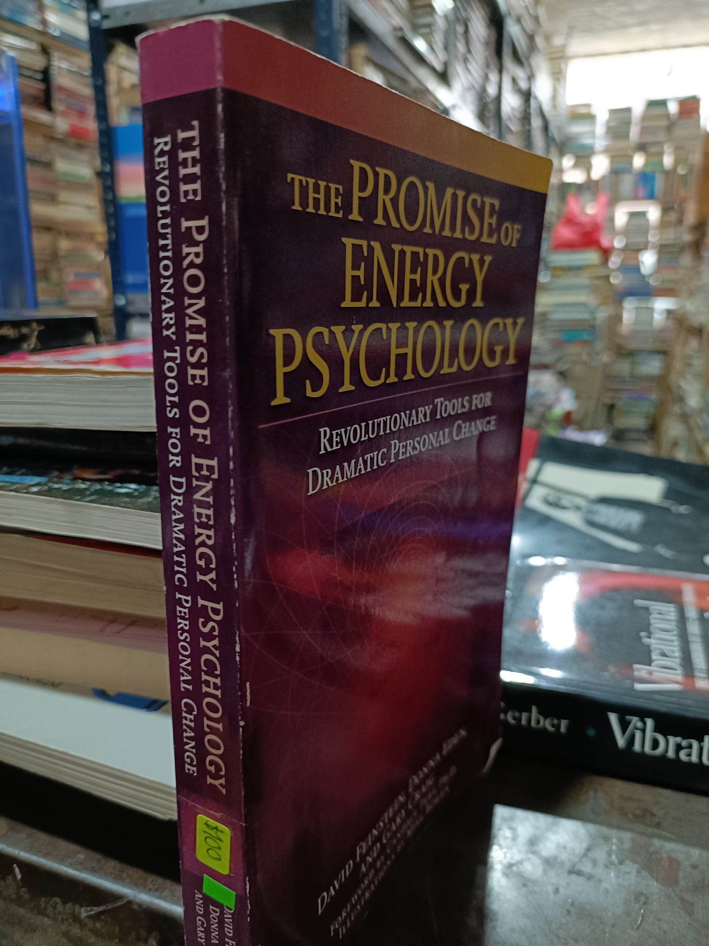 THE PROMISE OF ENERGY PSYCHOKOGY USADO PSICOLOGÍA ALDAMA