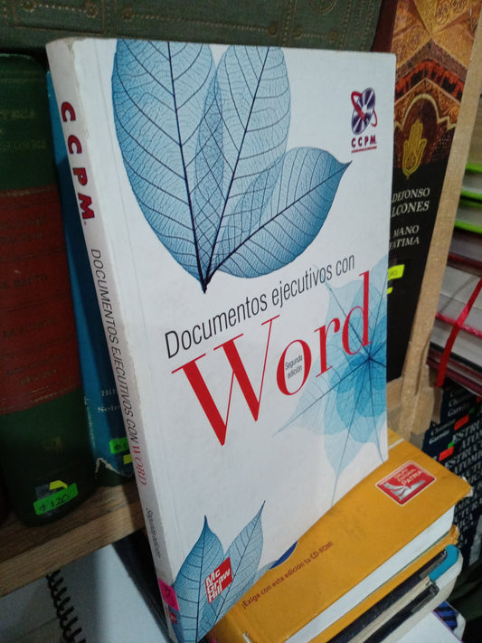 DOCUMENTOS EJECUTIVOS CON WORD USADO COMPUTACION JUAREZ