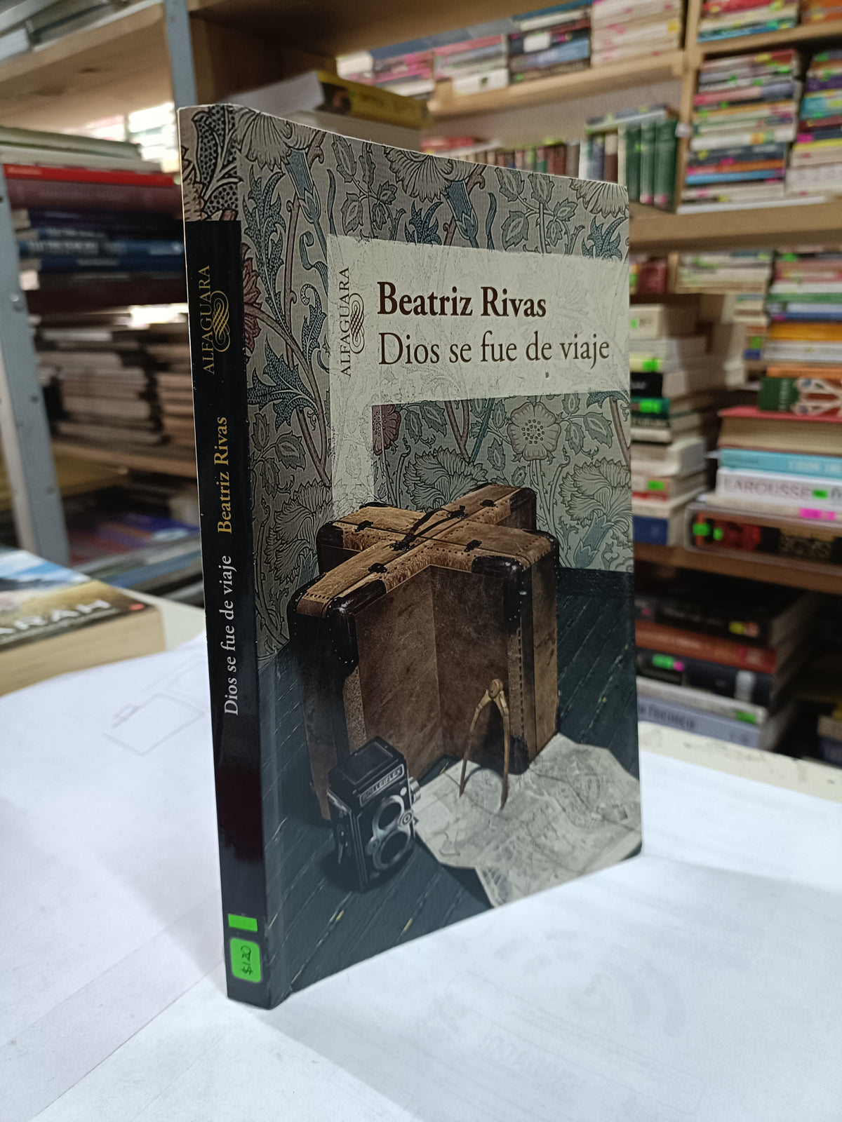 DIOS SE FUE DE VIAJE POR BEATRIZ RIVAS USADO NOVELA LITERARIO 207