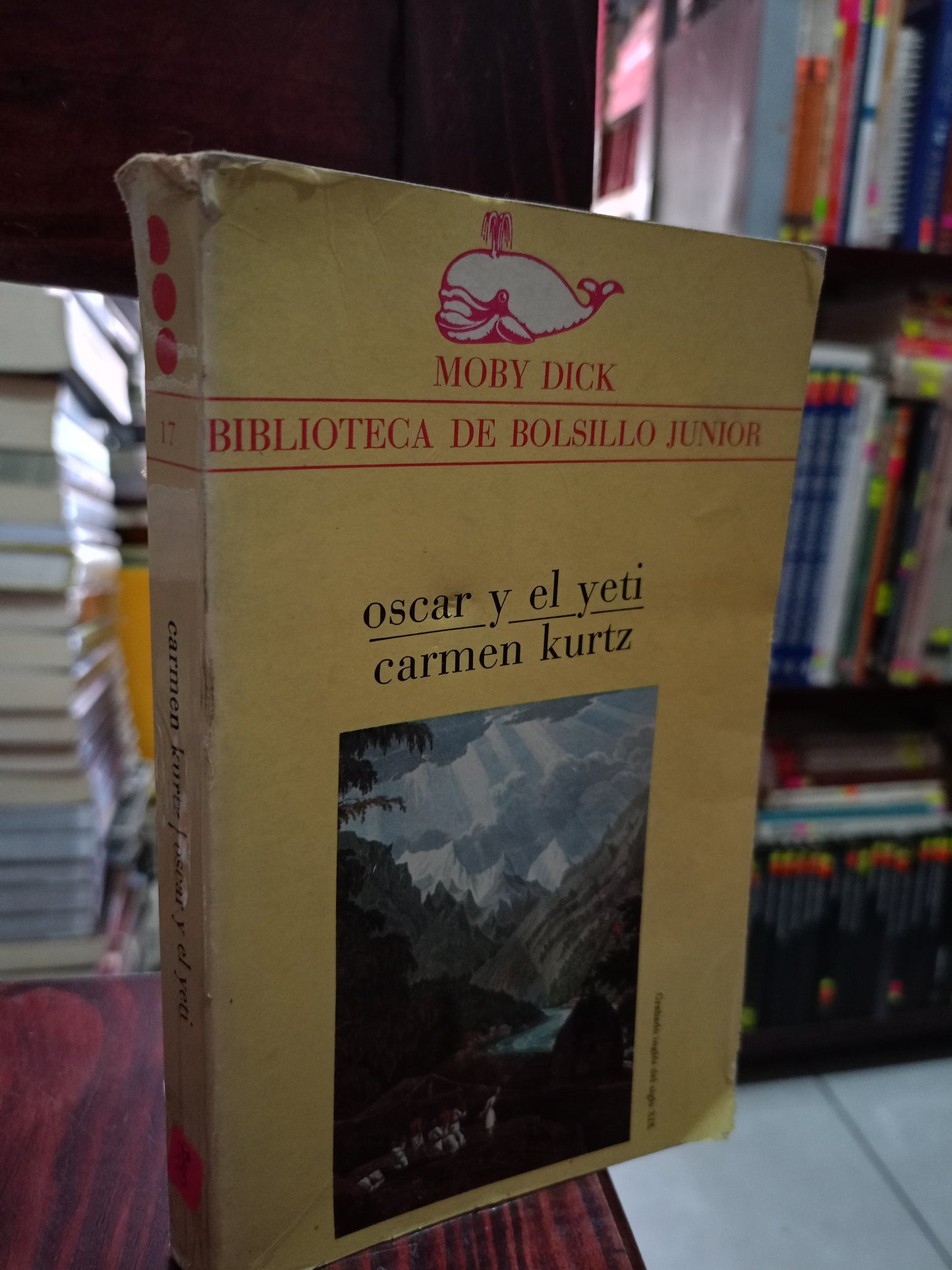 OSCAR Y EL YETI CARME KURTZ USADO NOVELA LITERARIO 305