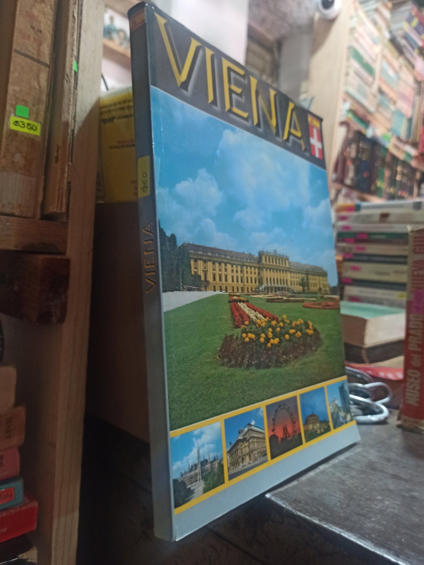 VIENA POR EDITORIAL KINA ITALIA USADO ARTE ALDAMA