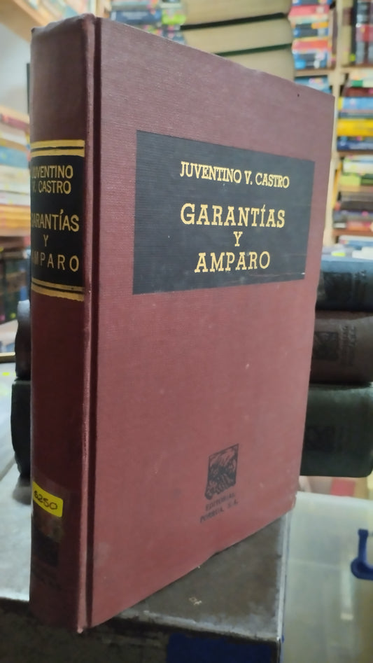 GARANTIAS Y AMPARO POR JUVENTINO V CASTRO LIBRO USADO DERECHO ALDAMA