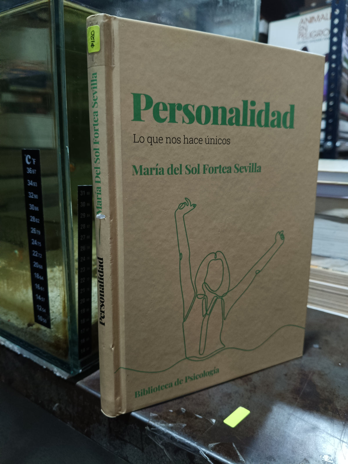 PERSONALIDAD POR MARIA DEL SOL FORTEA SEVILLA USADO PSICOLOGIA ALDAMA