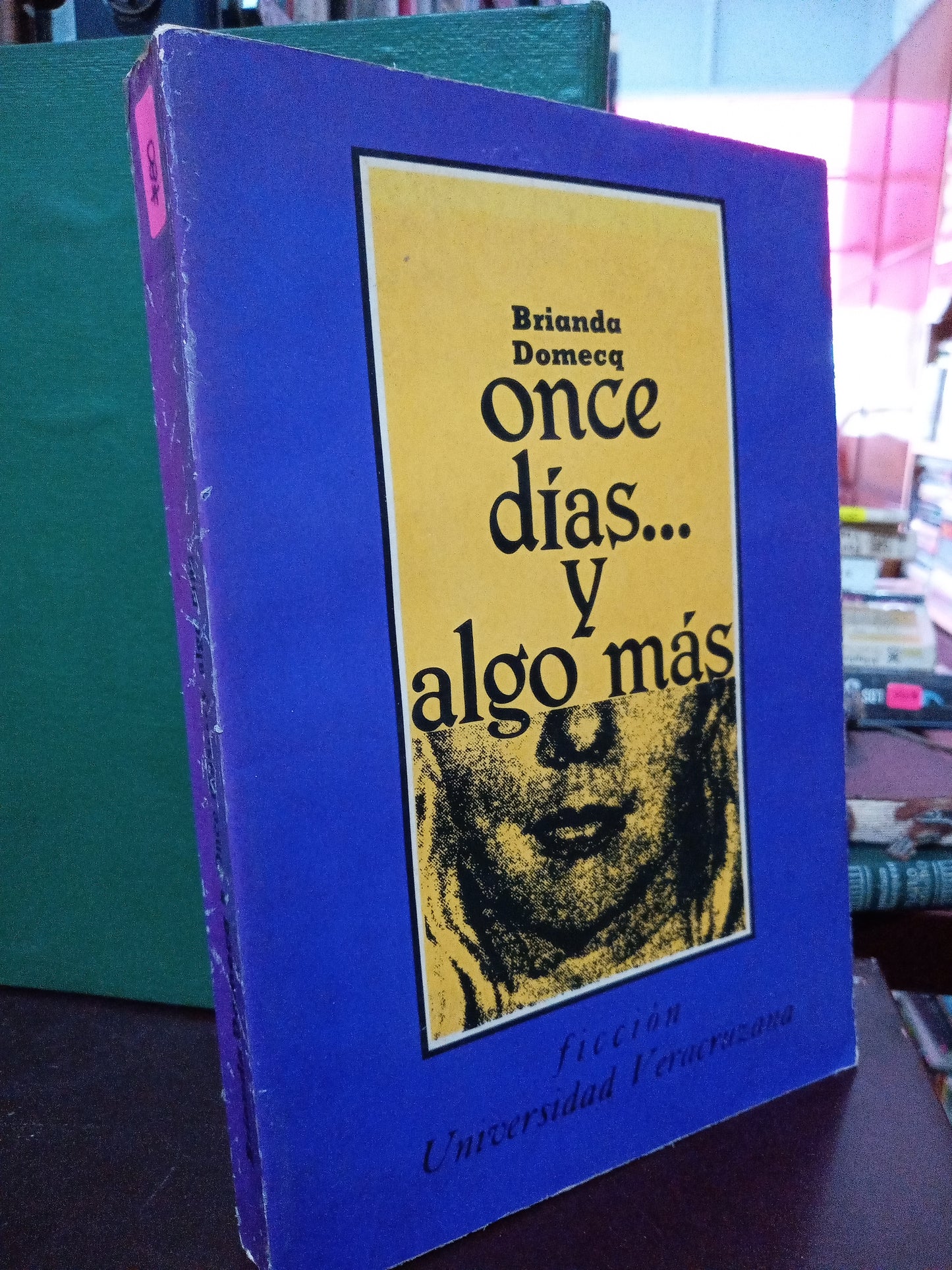 ONCE DIAS Y ALGO MAS BRIANDA DOMECQ USADO NOVELA LITERARIO 305