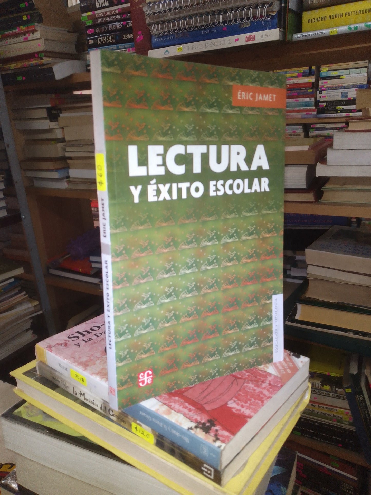 LECTURA Y ÉXITO ESCOLAR POR ÉRIC JAMET USADO EDUCACIÓN LITERARIO 207