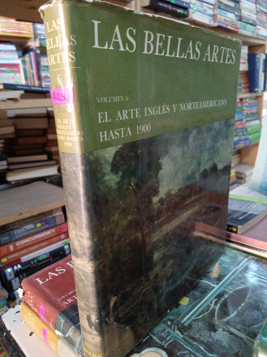 EL ARTE INGLES Y NORTEAMERICANO HASTA 1900 6 USADO ARTE LITERARIO 207