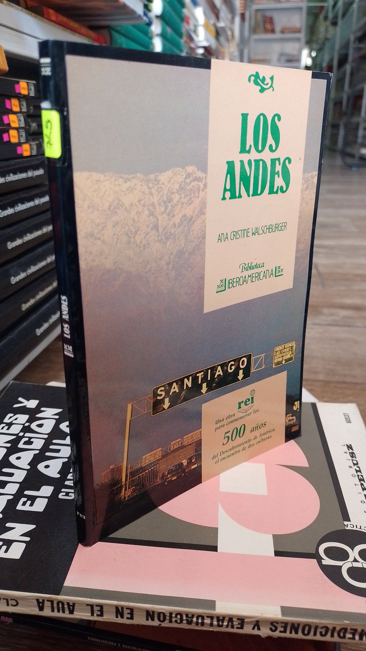 LOS ANDES POR ANA CRISTINE WALSCHBURGUER USADO HISTORIA JUAREZ 515
