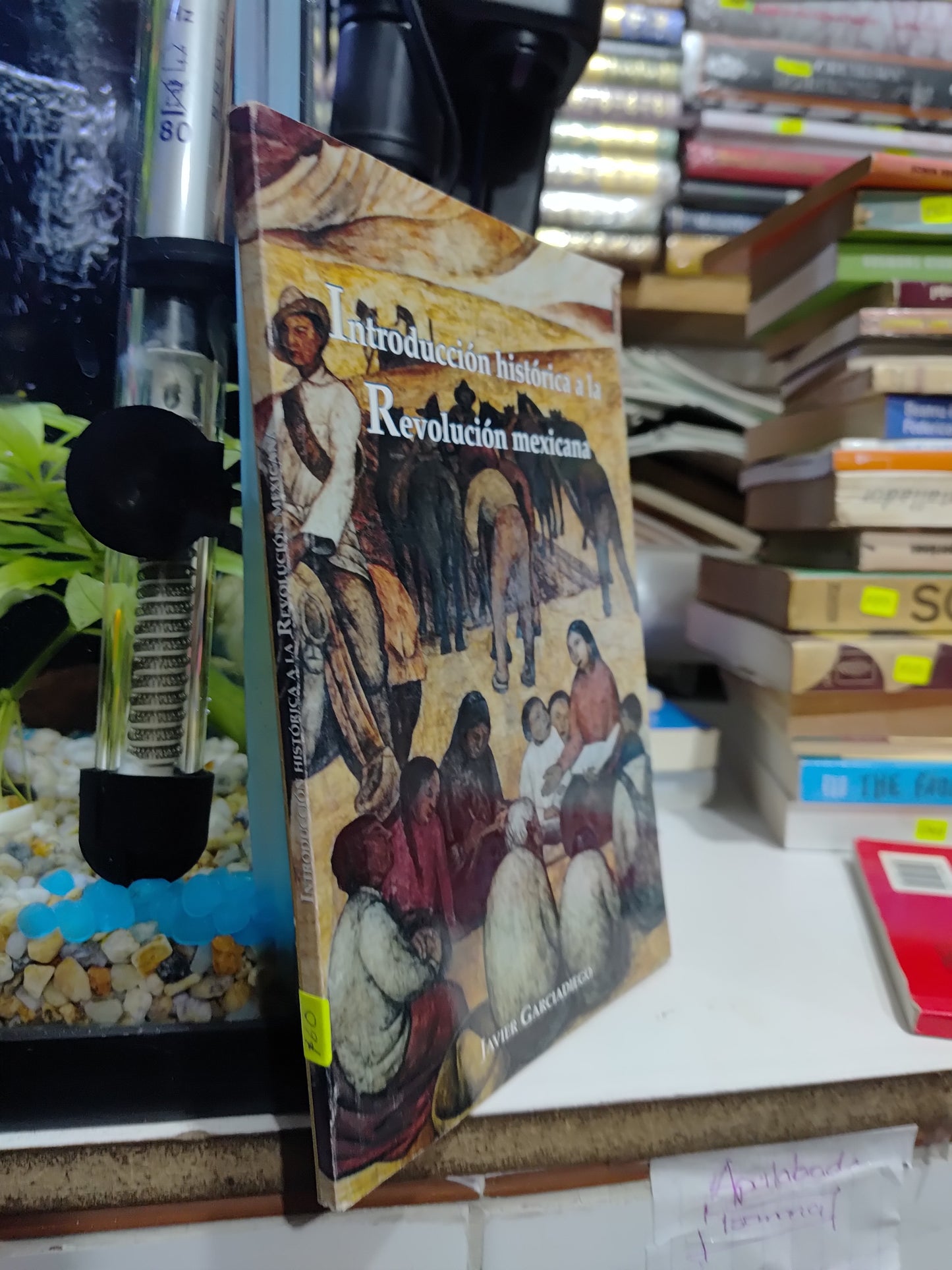 INTRODUCCUON HISTORICA A LA REVOLUCION MEXICANA POR JAVIER GARCIADIEGO USADO HISTORIA JUAREZ 507