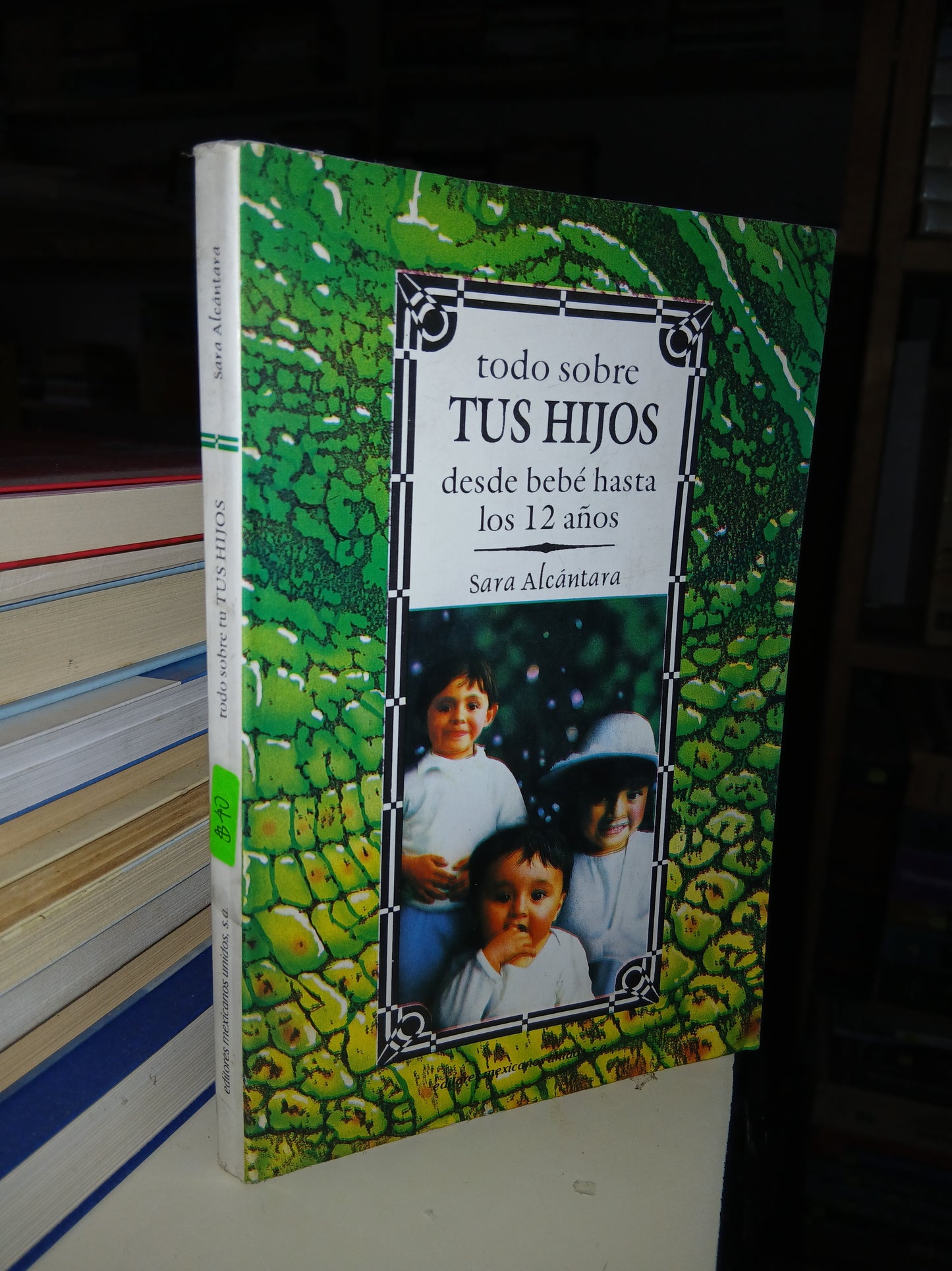 TODO SOBRE TUS HIJOS POR SARA ALCÁNTARA USADO SUPERACIÓN PERSONAL LITERARIO 207