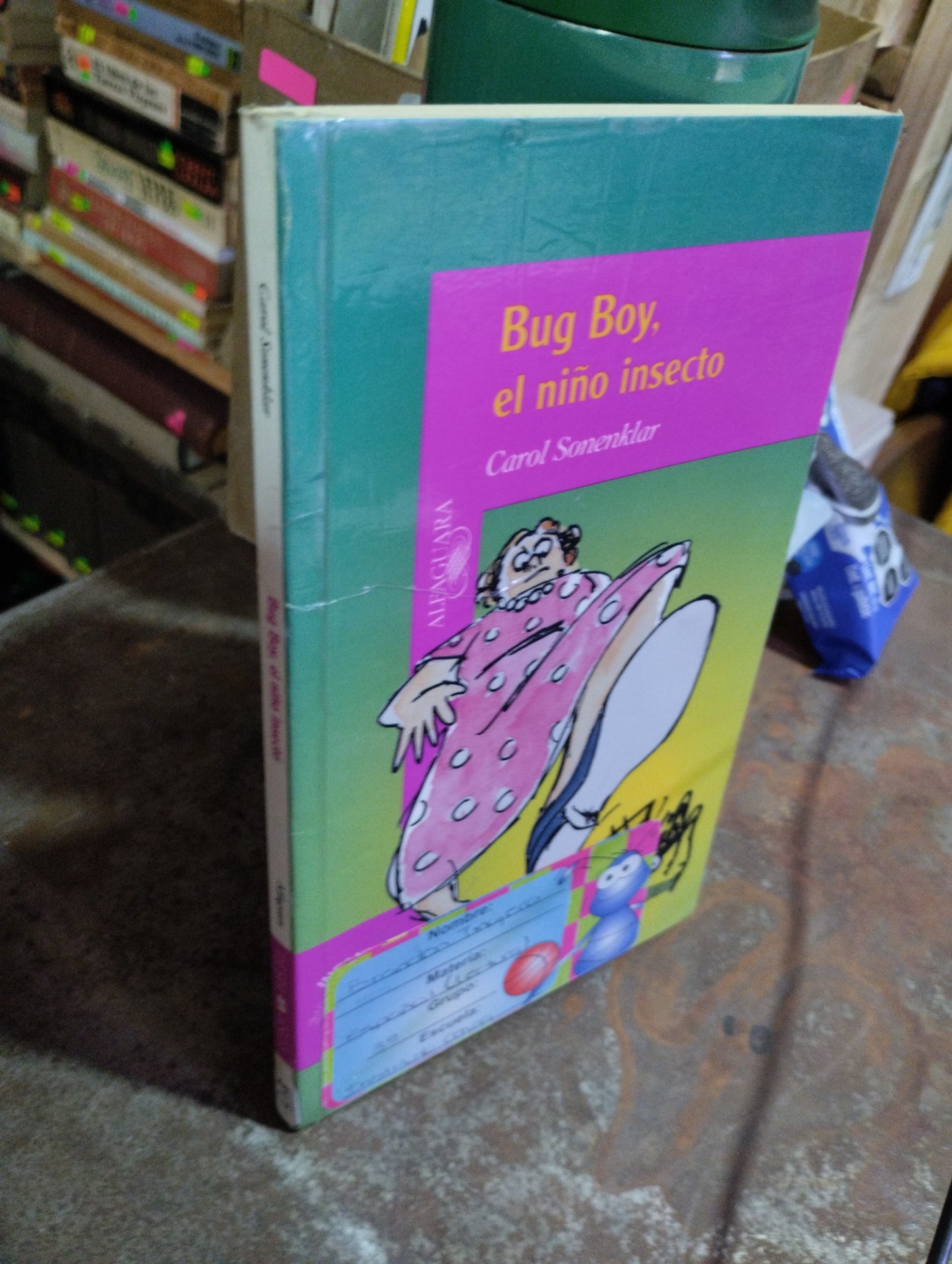 BUG BOY EL NIÑO INSECTO POR CAROL SONRNKLAR USADO INFANTIL ALDAMA