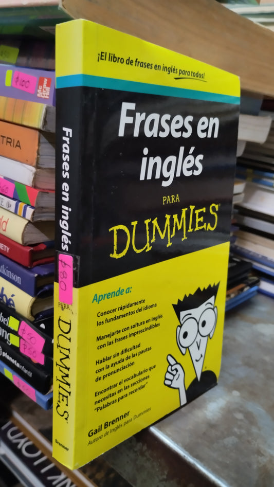 FRASES EN INGLES PARA DUMMIES LIBRO USADO IDIOMAS ALDAMA