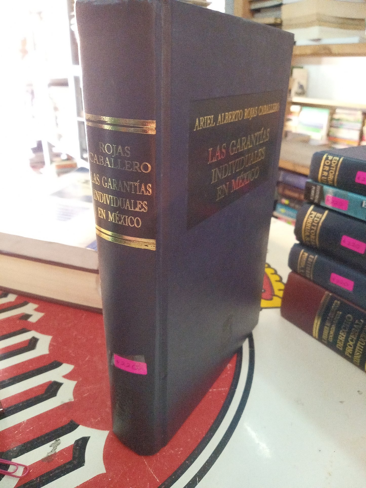LAS GARANTIAS INDIVIDUALES EN MÉXICO POR ARIEL ALBERTO ROJAS CABALLERO USADO DERECHO LITERARIO 207