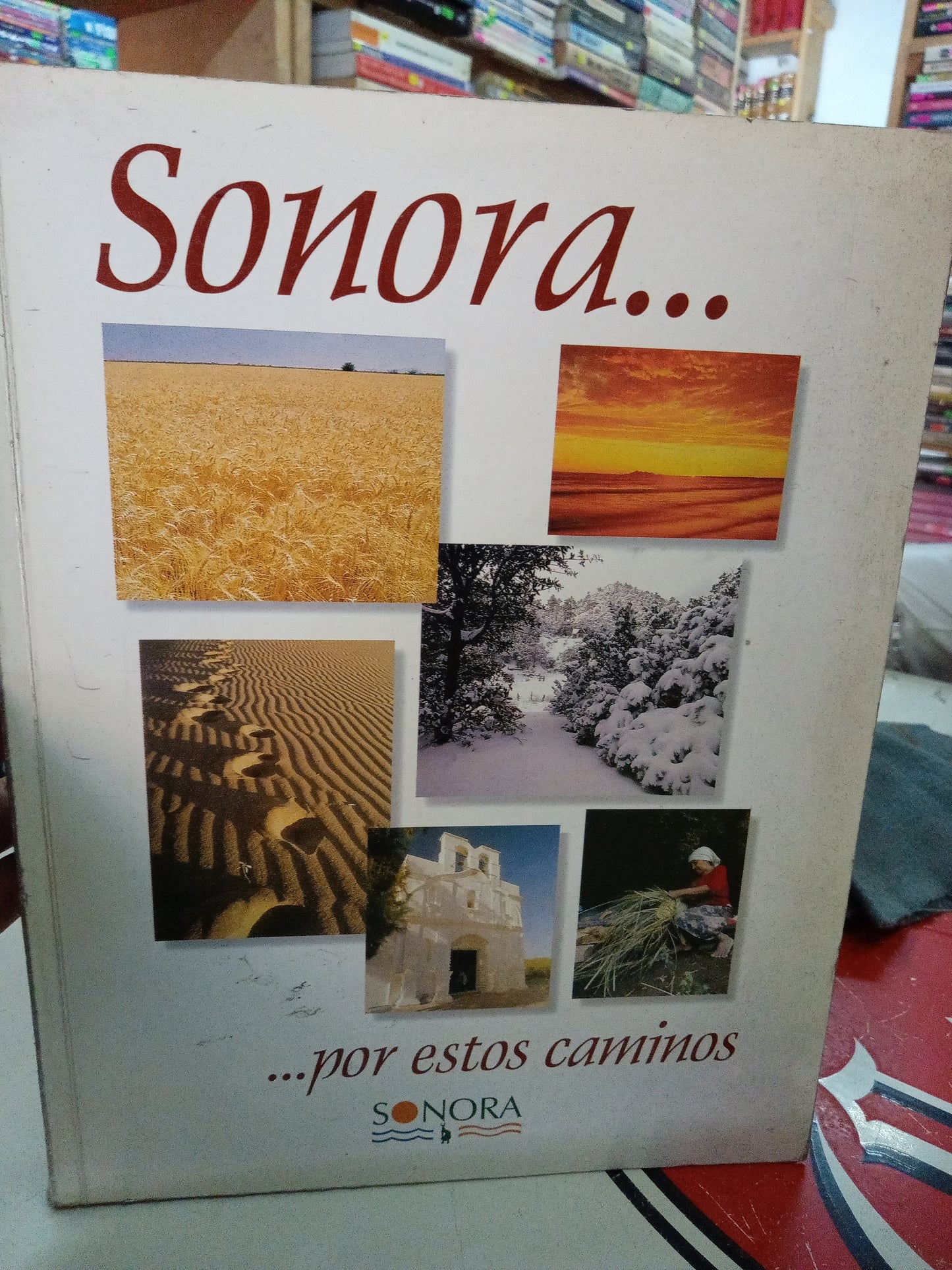 SONORA POR ESTOS CAMINOS USADO LITERARIO 207