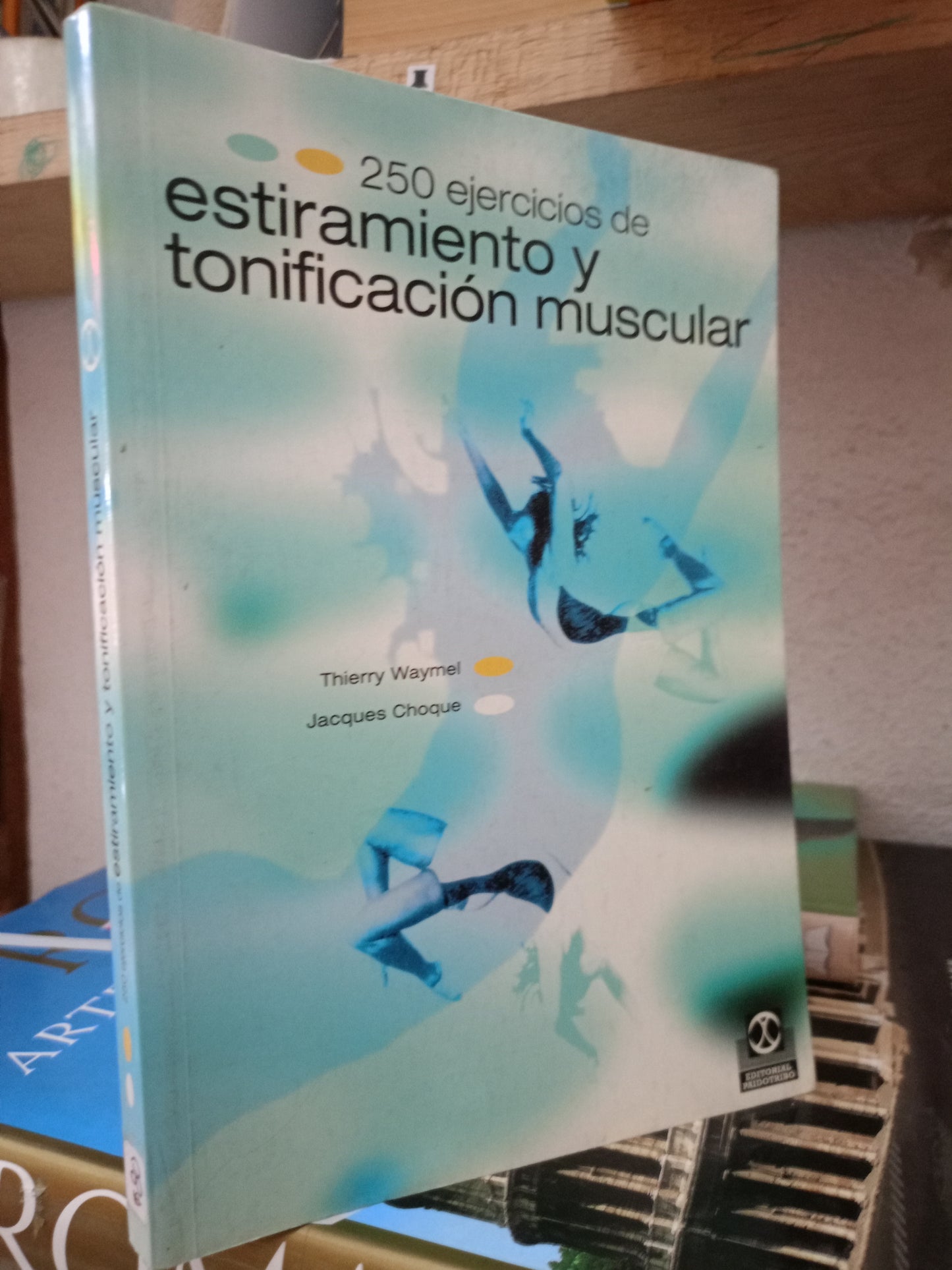 250 EJERCICIOS DE ESTIRAMIENTO Y TONIFICACION MOSCULAR POR THIERRY WAYMEL Y JACQUES CHOQUE USADO SALUD LITERARIO 305