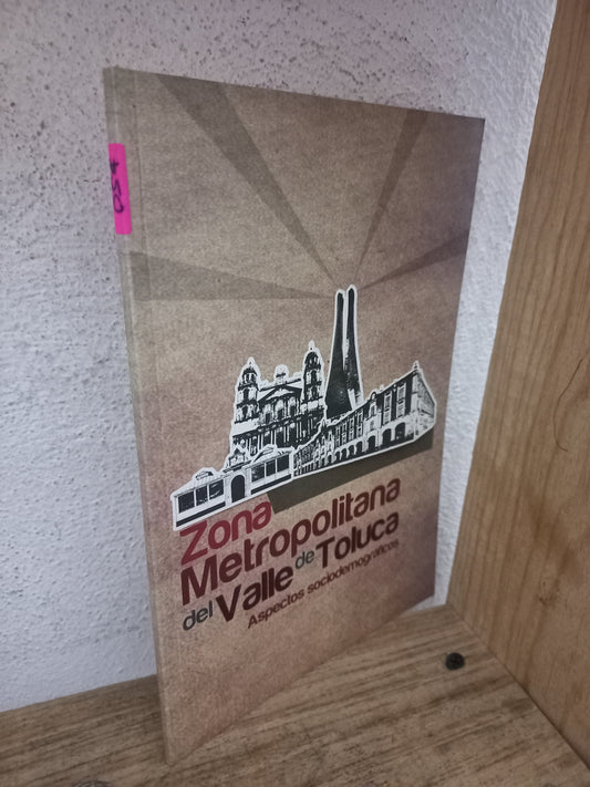 ZONA METROPOLITANA DEL VALLE DE TOLUCA ASPECTOS SOCIODEMOGRÁFICOS USADO HISTORIA LITERARIO 305