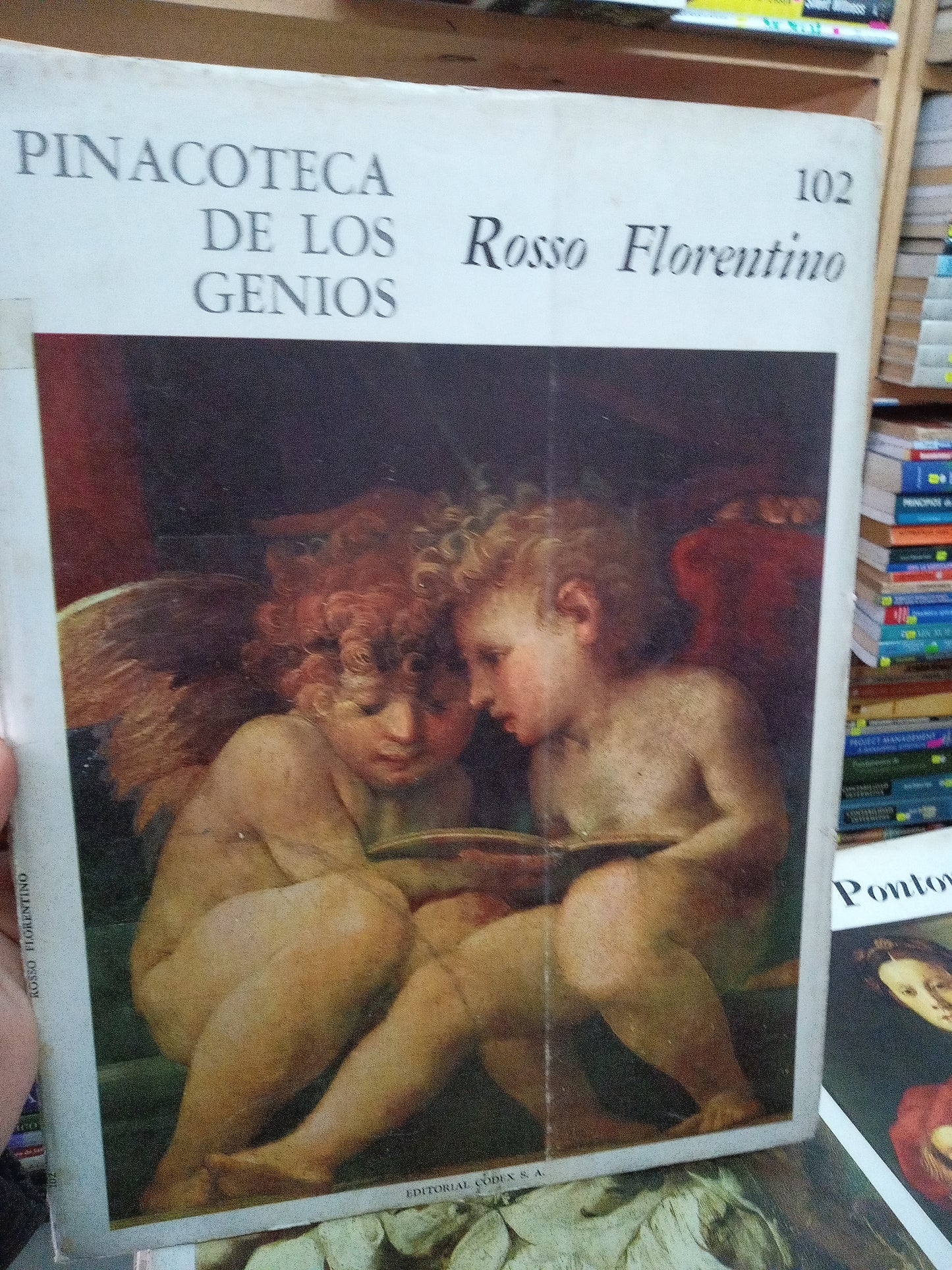 PINACOTECA DE LOS GENIOS ROSSO FLORENTINO POR EVELINA BOREA USADO ARTE LITERARIO 207