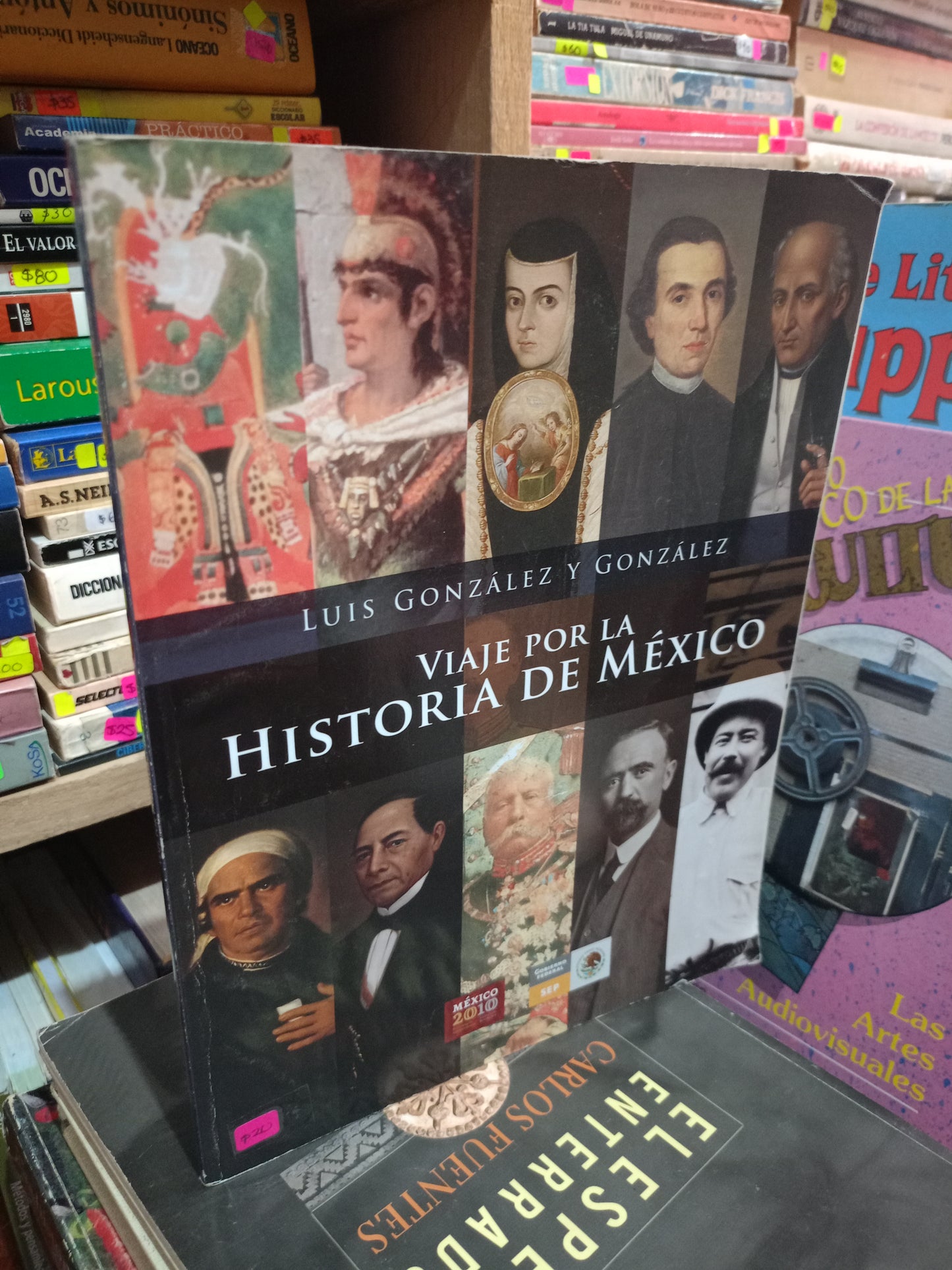 VIAJE POR LA HISTORIA DE MEXICO POR LUIS GONZALEZ Y GONZALEZ USADO HISTORIA LITERARIO 305