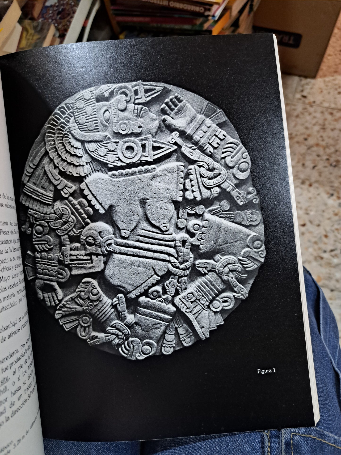 COYOLXAUHQUI EDUARDO MATOS FELIPE EHRENBERG USADO HISTORIA ALDAMA