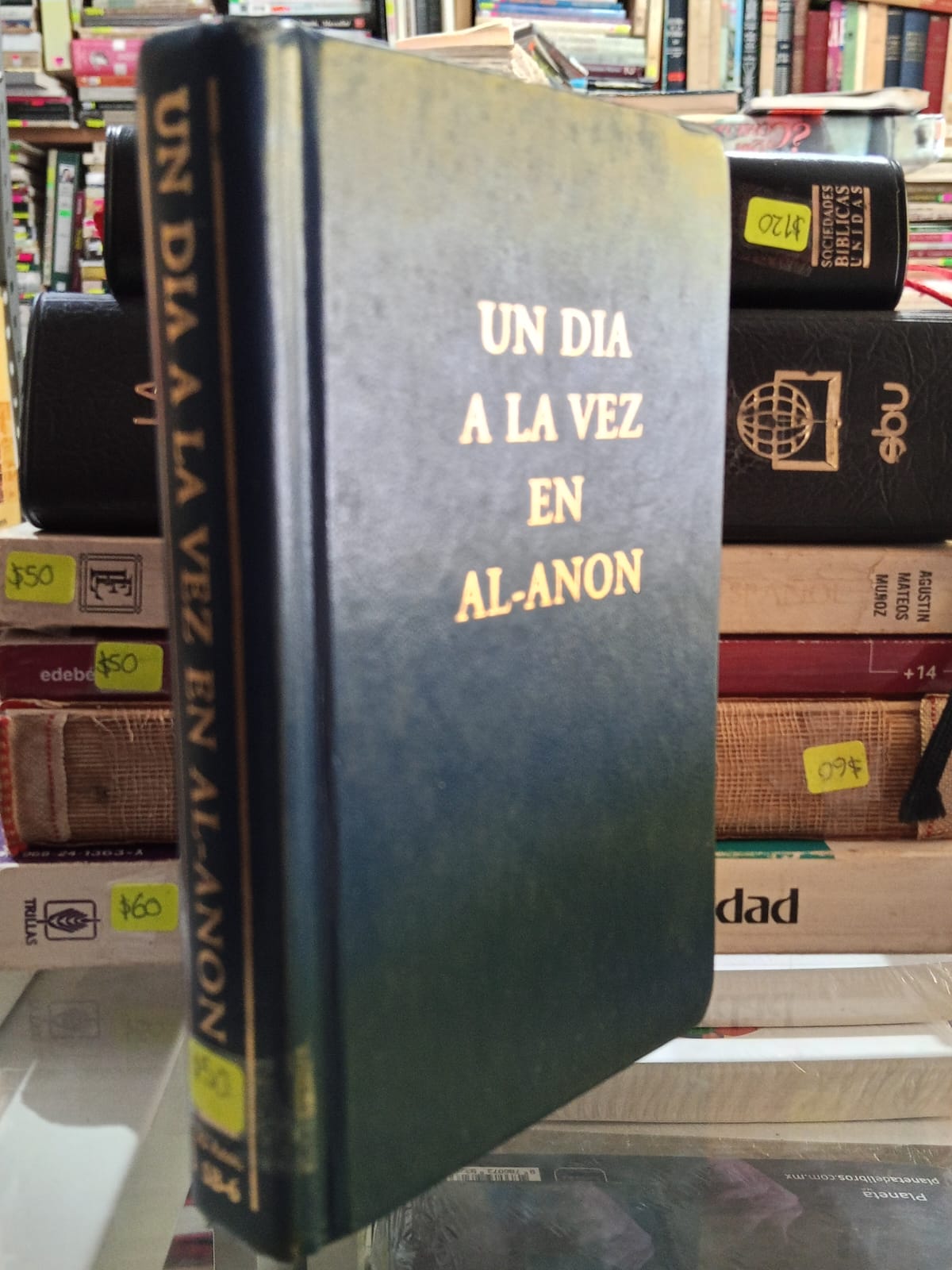 UN DIA A LA VEZ EN AL-ANON USADO RELIGION JUAREZ 507