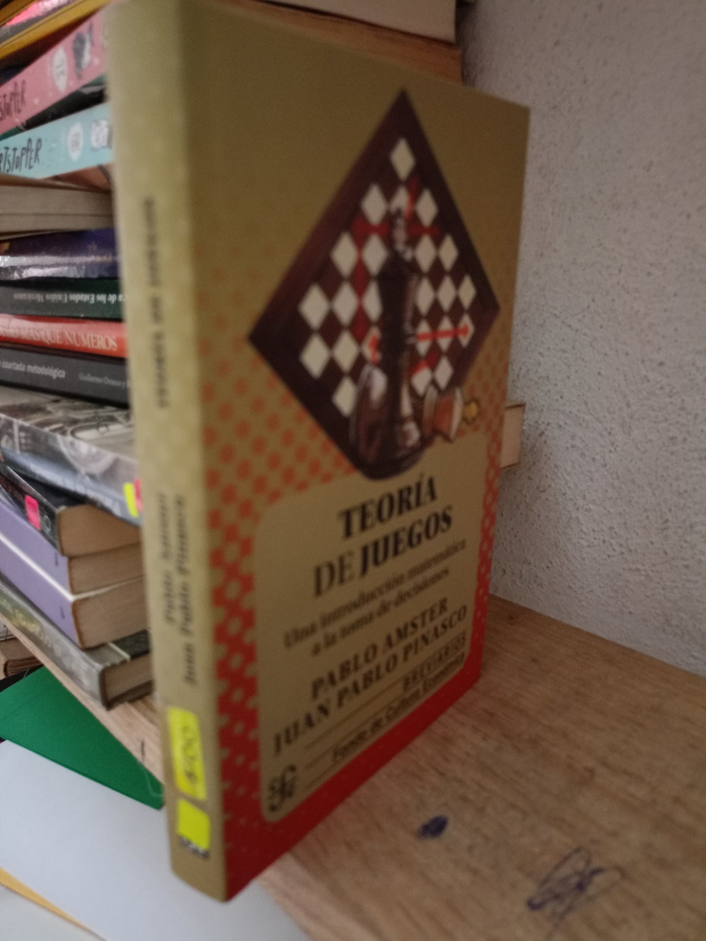 TEORIA DE JUEGOS POR PABLO AMSTER USADO FILOSOFIA LITERARIO 305