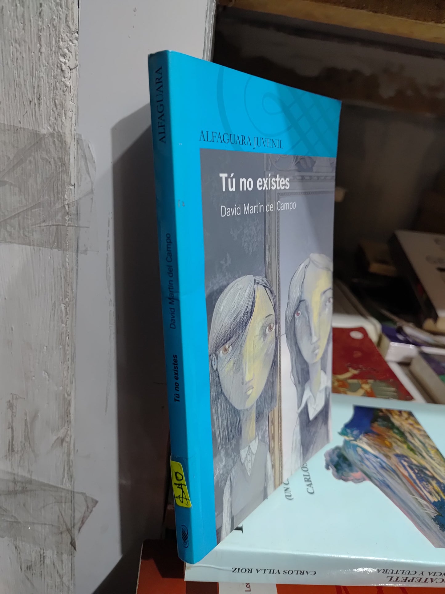 TU NO EXISTES POR DAVID MARTIN DEL CAMPO USADO INFANTILES JUAREZ