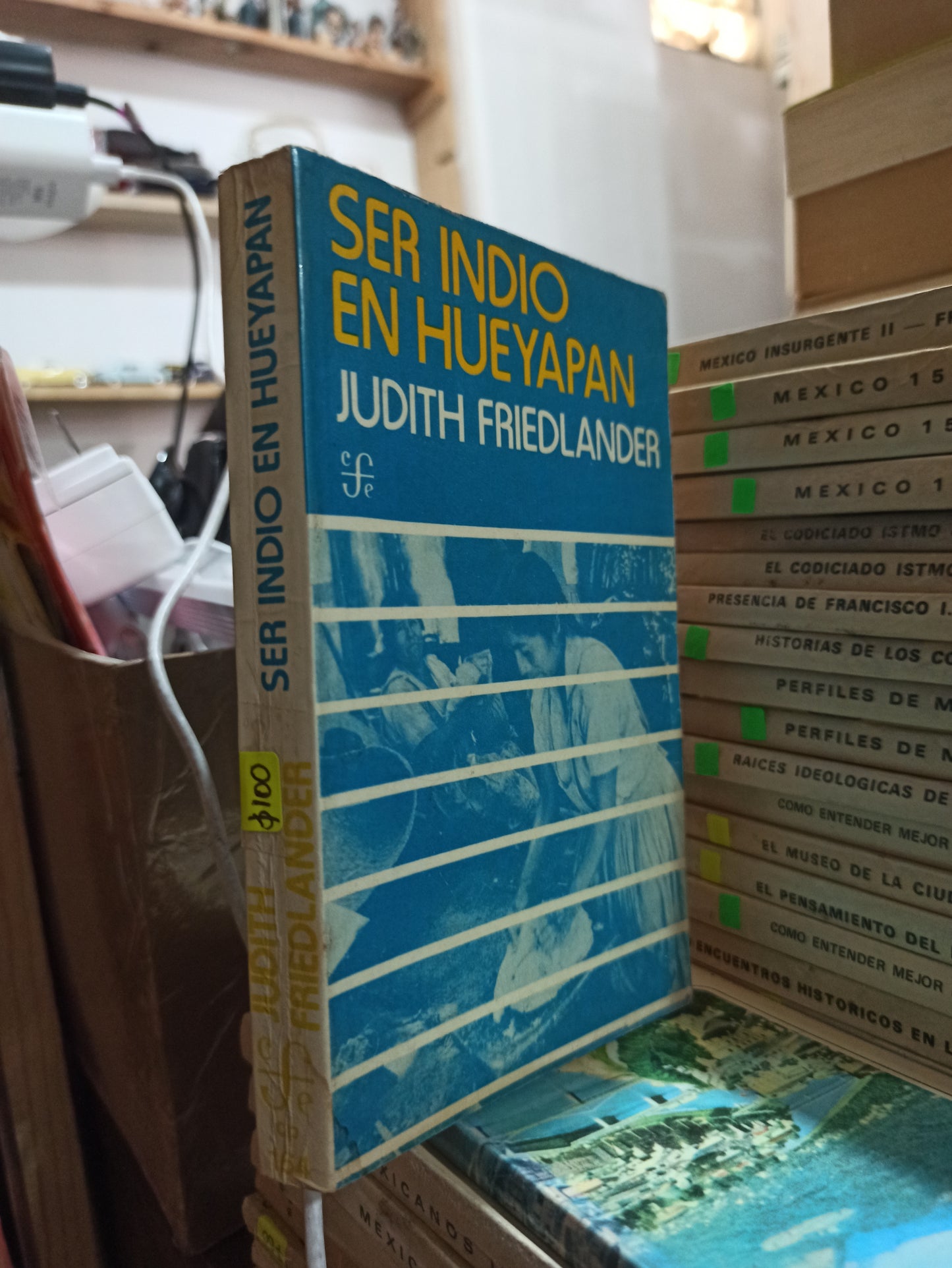 SER INDIO EN HUEYAPAN POR JUDITH FRIEDLANDER USADO HISTORIA ALDAMA