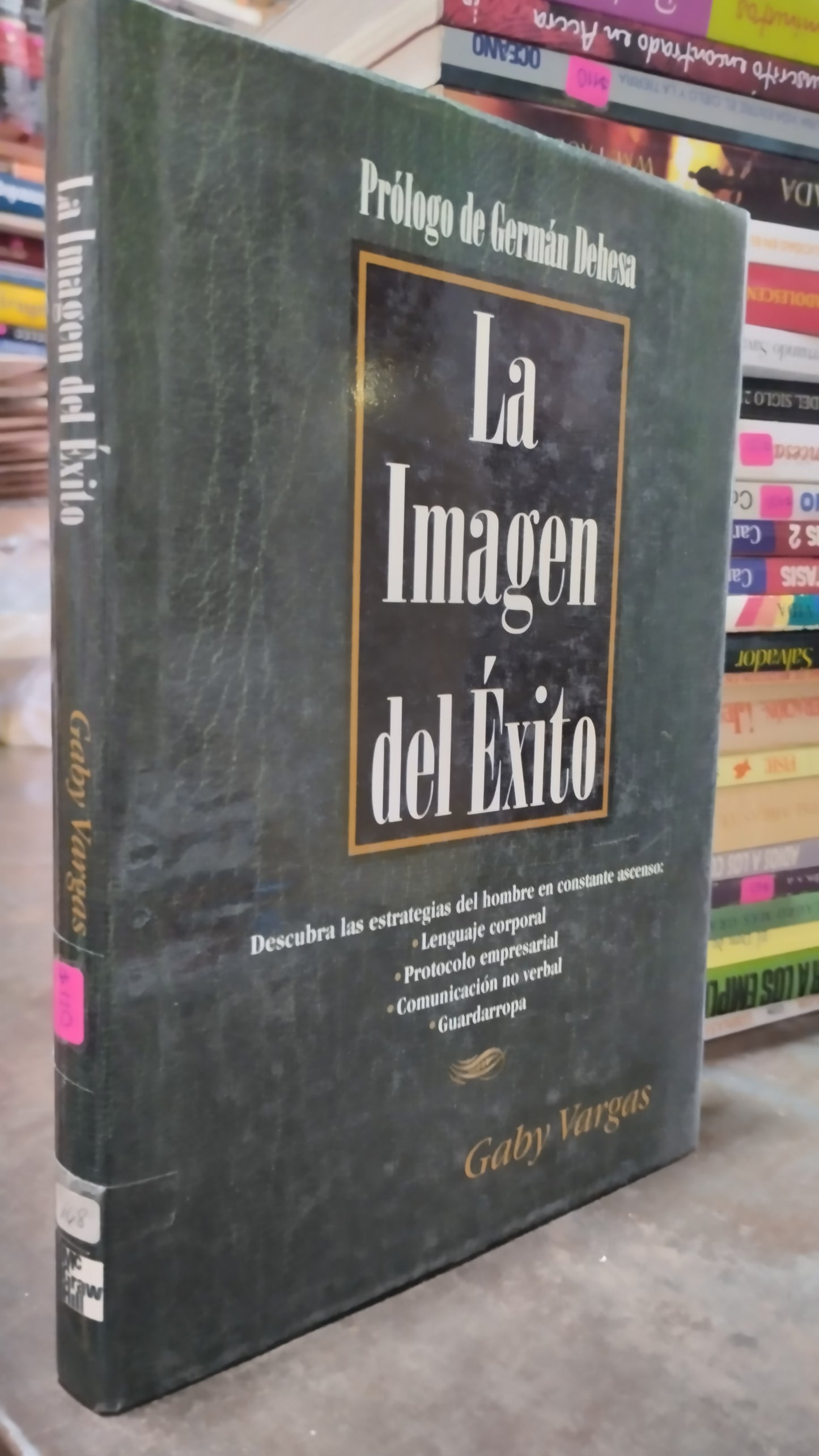 LA IMAGEN DEL EXITO POR GABY VARGAS LIBRO USADO SUPERACION PERSONAL ALDAMA
