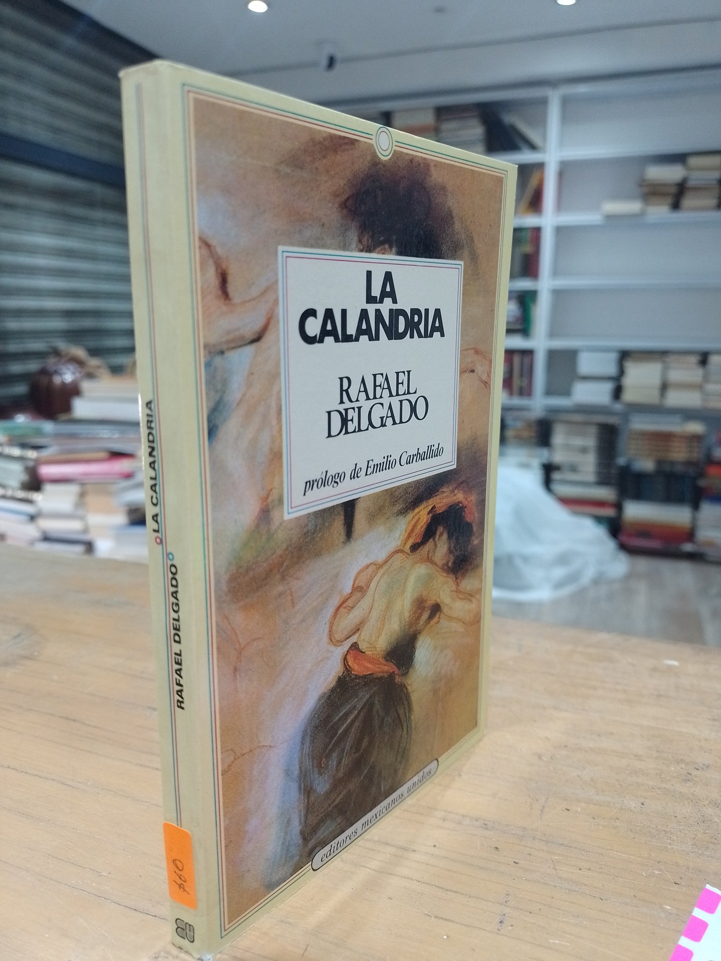 LA CALANDRIA POR RAFA DELGADO USADO NOVELA JUAREZ 515