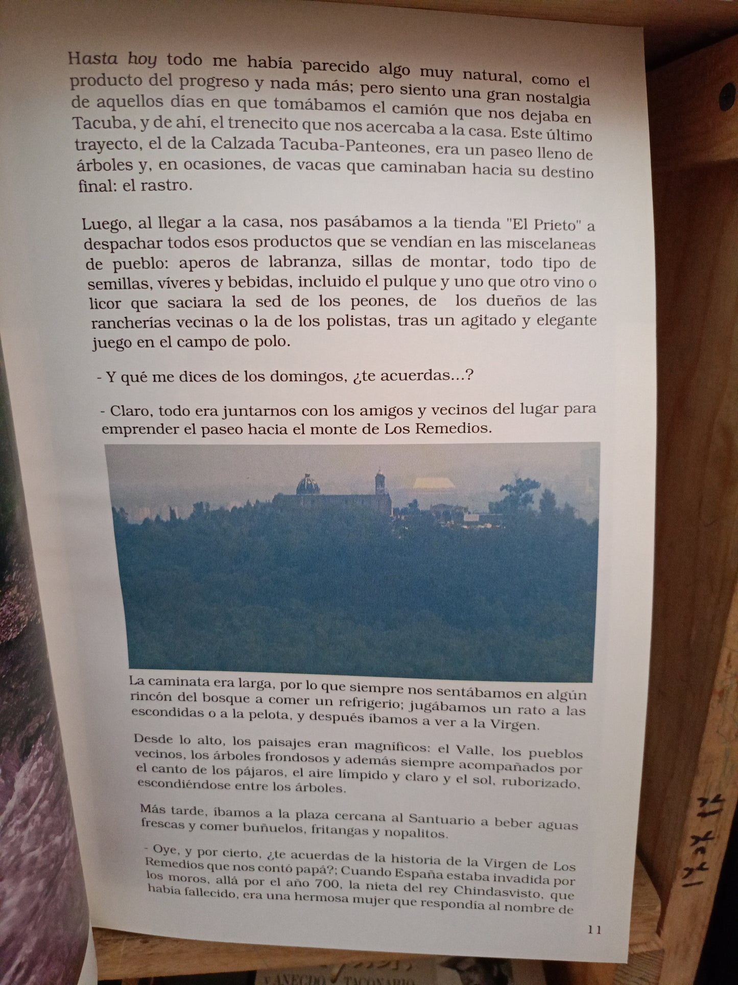 NAUCALPAN DE JUÁREZ POR MIGUEL ÁNGEL OLIVA GONZÁLEZ USADO HISTORIA LITERARIO 305