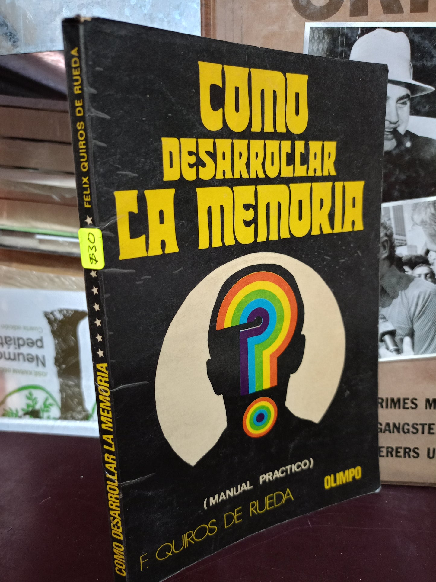 CÓMO DESARROLLAR LA MEMORIA F. QUIROS DE RUEDA USADO PSICOLOGÍA LITERARIO 305