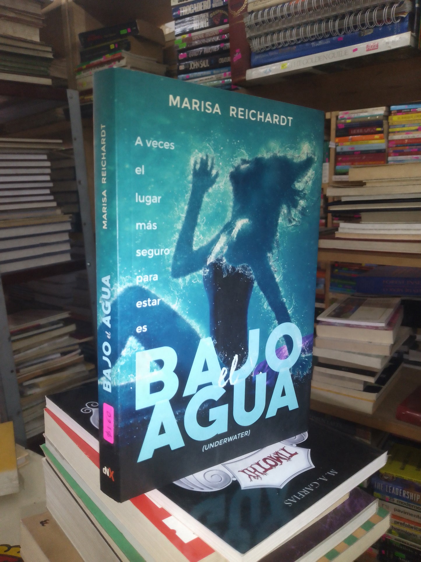 BAJO EL AGUA POR MARISA REICHARDT USADO NOVELA LITERARIO 207