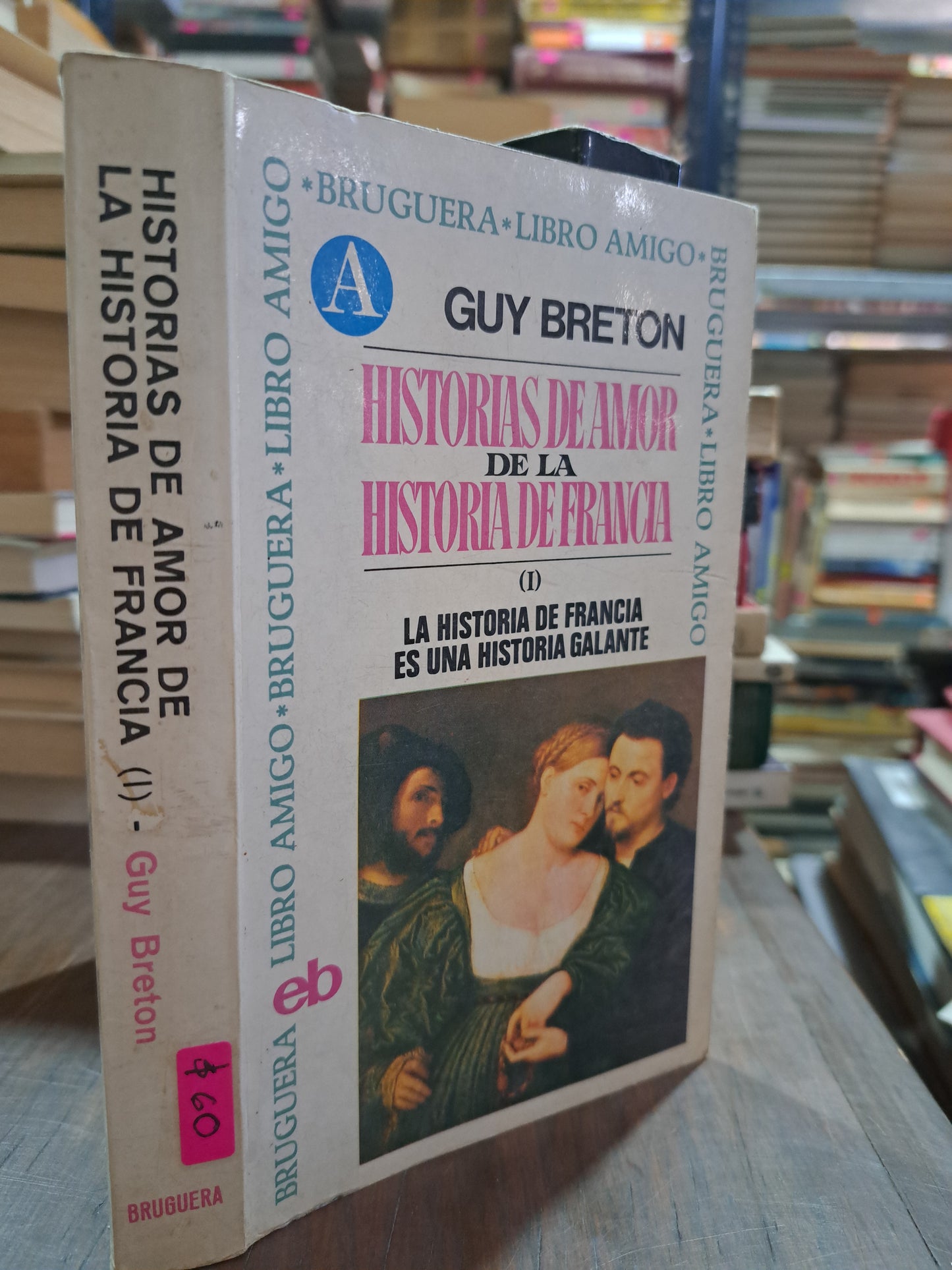 HISTORIAS DE AMOR DE LA HISTORIA DE FRANCIA GUY BRETON USADO NOVELA ALDAMA