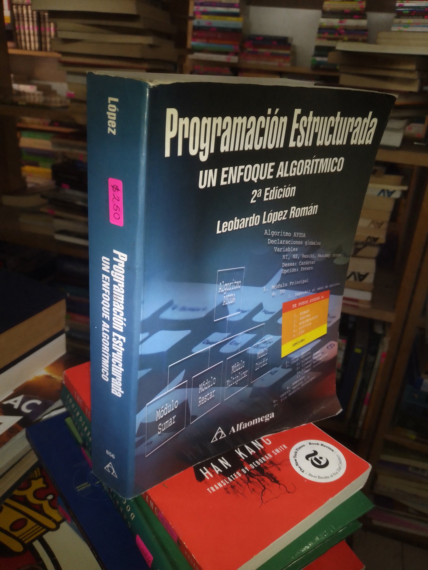 PROGRAMACIÓN ESTRUCTURADA: UN ENFOQUE ALGORÍTMICO POR LEOBARDO LÓPEZ ROMÁN USADO COMPUTACIÓN LITERARIO 207