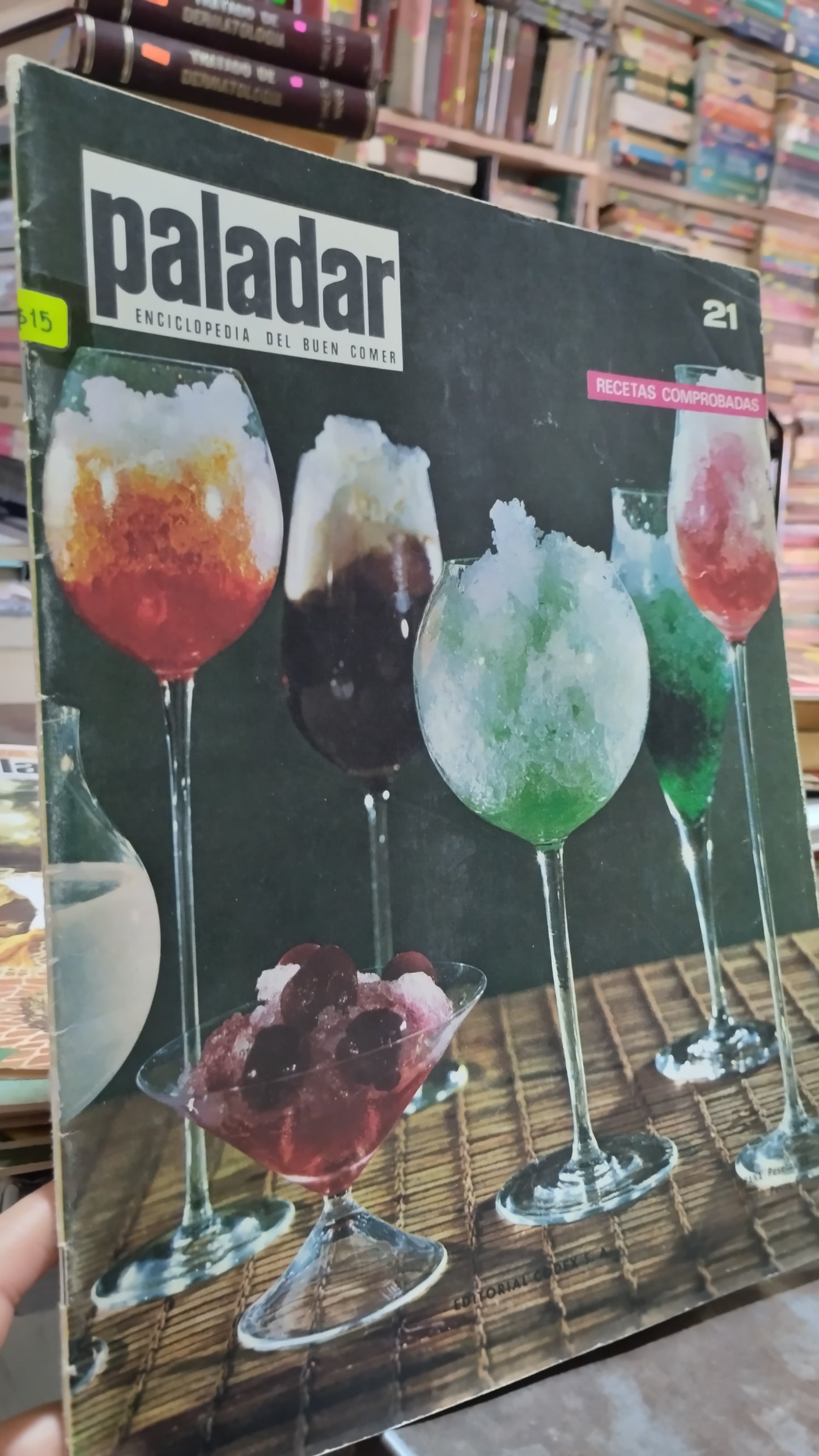 PALADAR RECETAS COMPROBADAS 21 LIBRO USADO COCINA ALDAMA