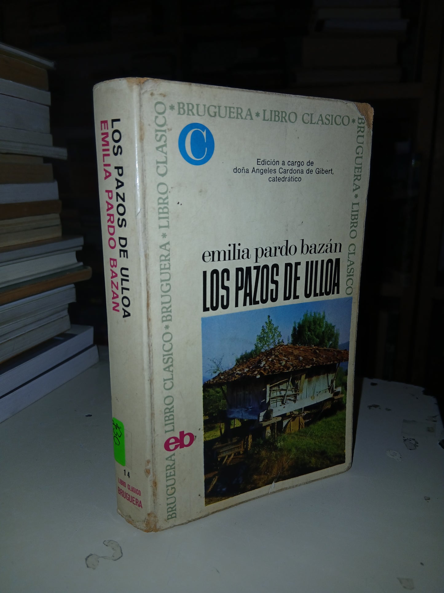 LOS PAZOS DE ULLOA POR EMILIA PARDO BAZÁN USADO NOVELA LITERARIO 207