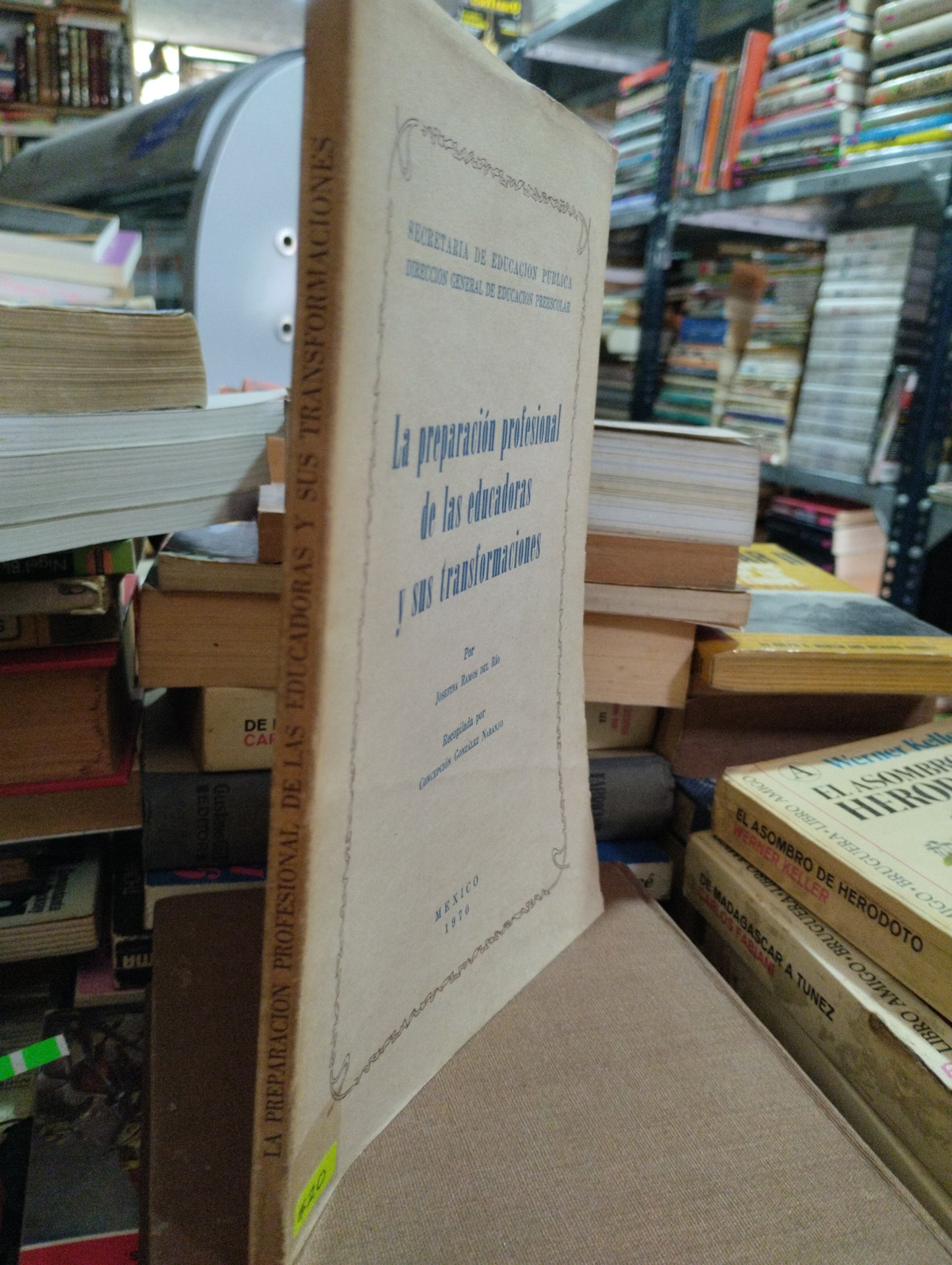 LA PREPARACION PROFESIONAL DE LAS EDUCADORAS Y SUS TRANSFORMACIONES POR JOSEFINA RAMOS DEL RIO USADO EDUCACION ALDAMA
