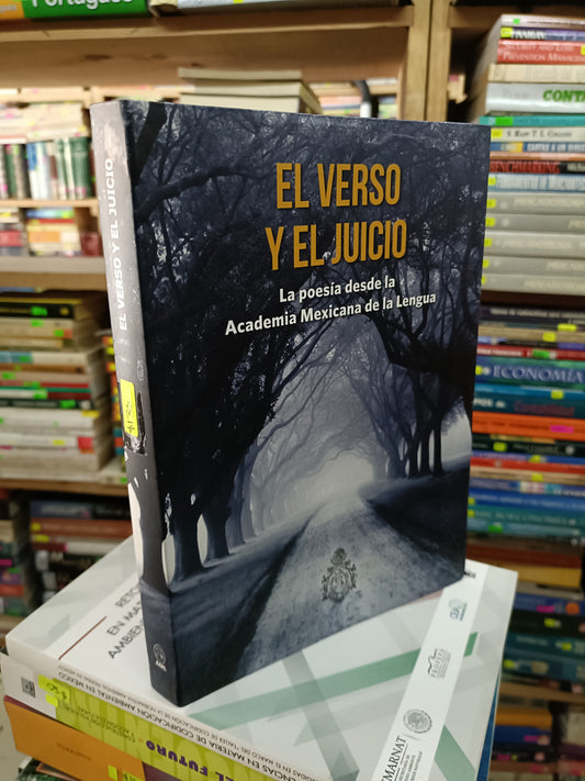 EL VERSO Y EL JUICIO (VARIOS AUTORES) USADO NOVELA LITERARIO 207